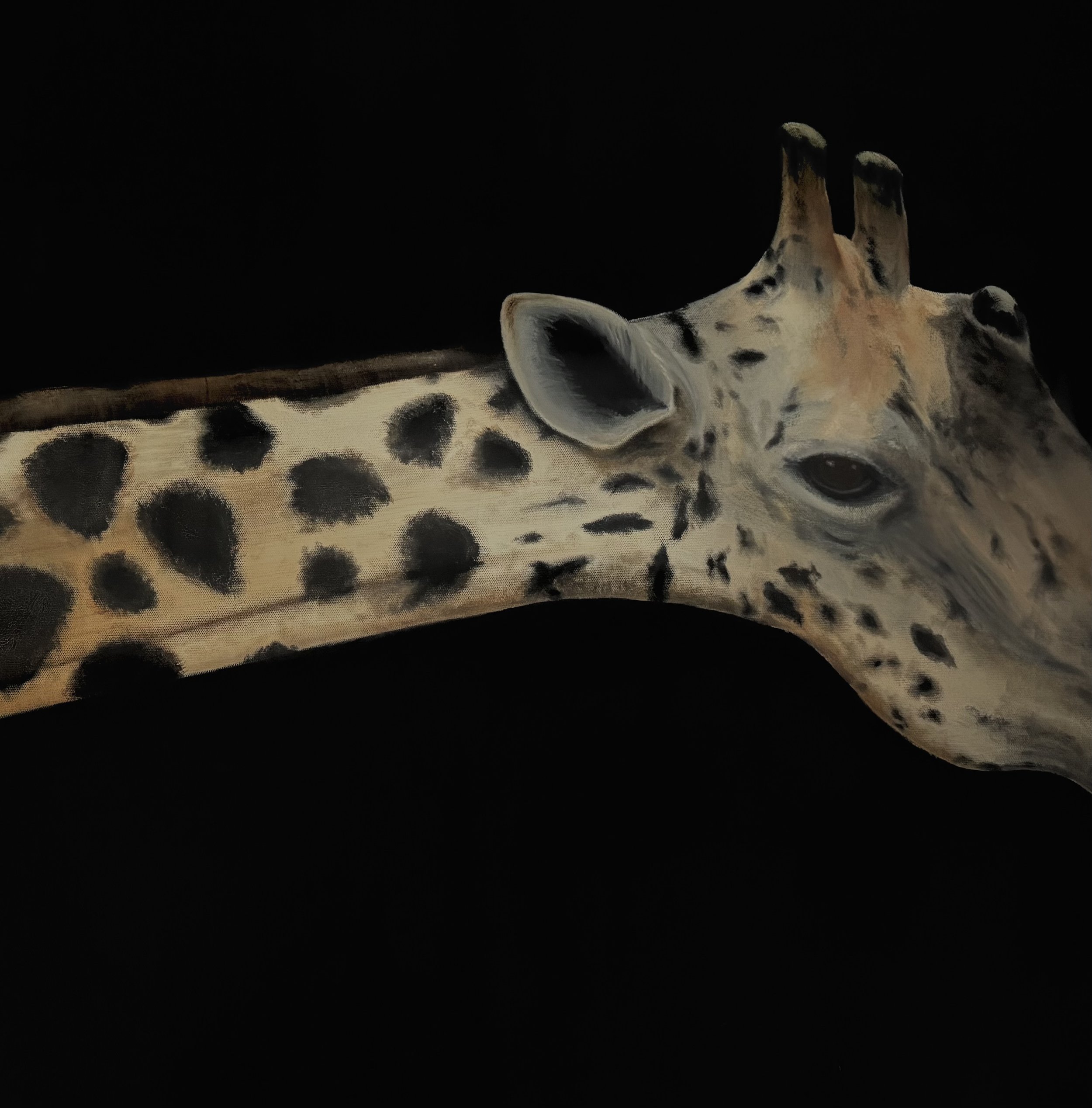 Neck-Neck the Giraffe