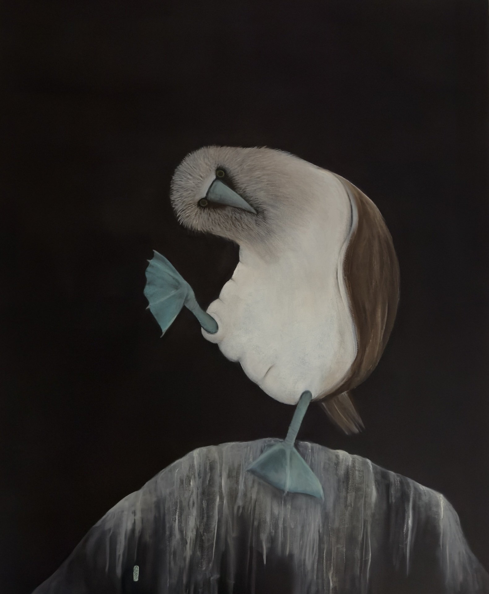 Belen the Blue-Footed Booby