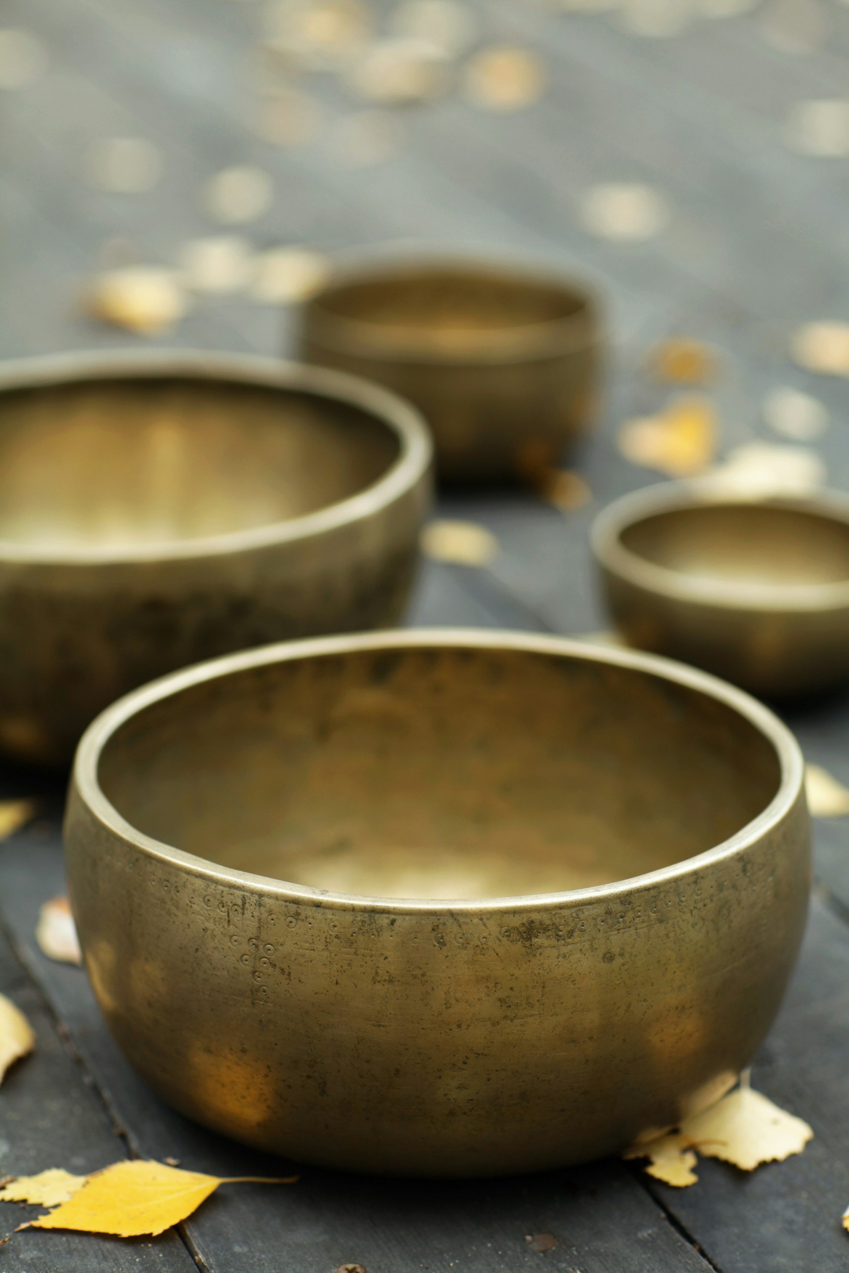Chakra & Sound Healing