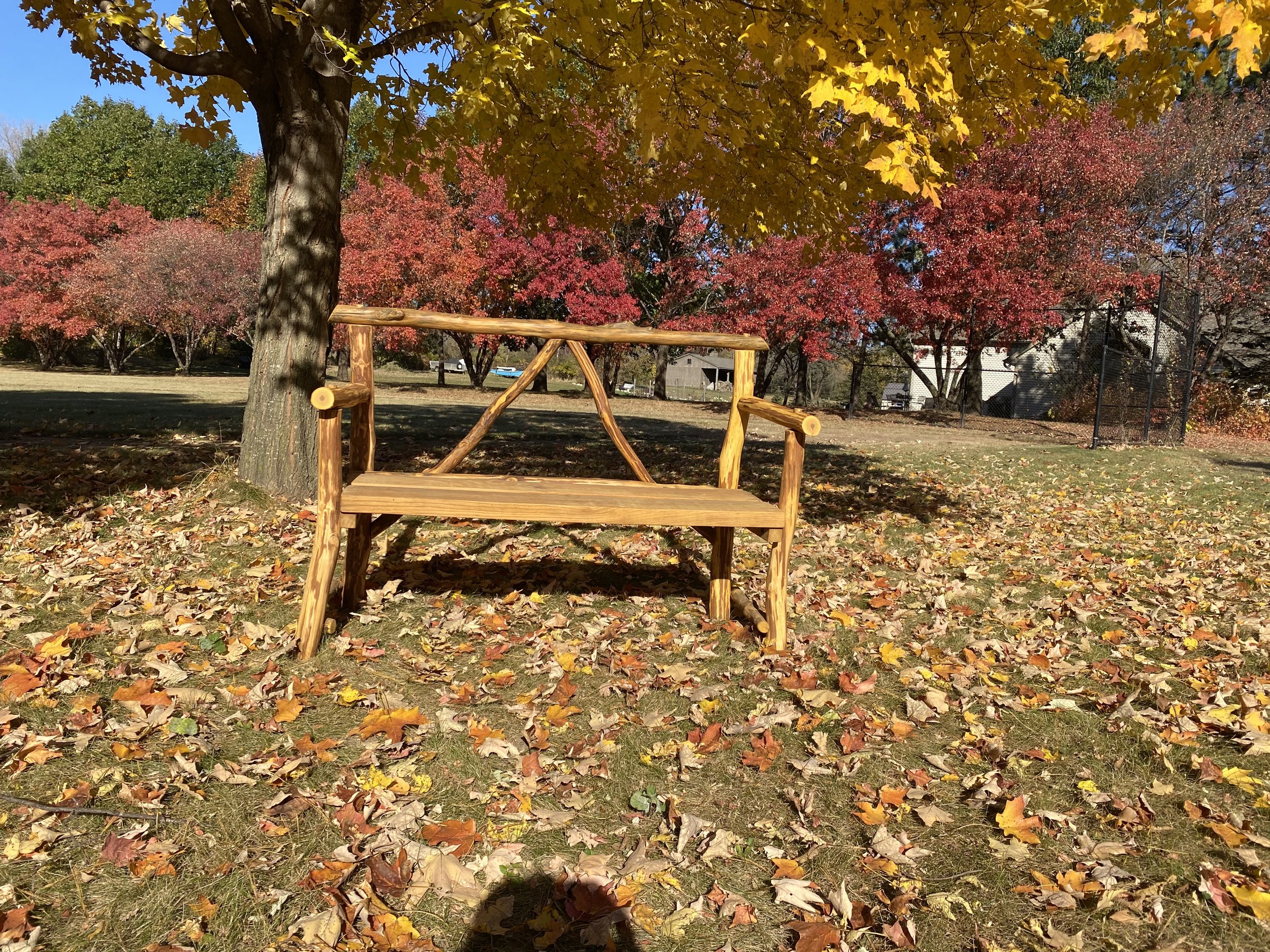 bench3.jpeg