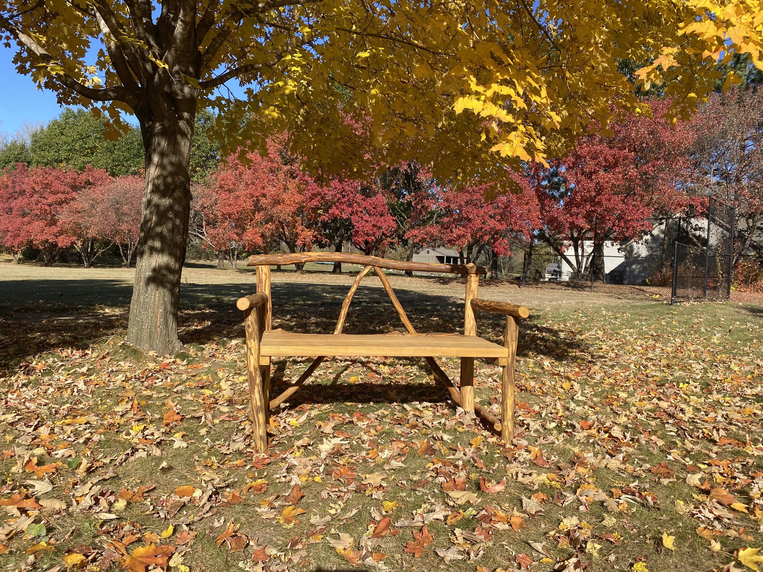 bench1.jpeg