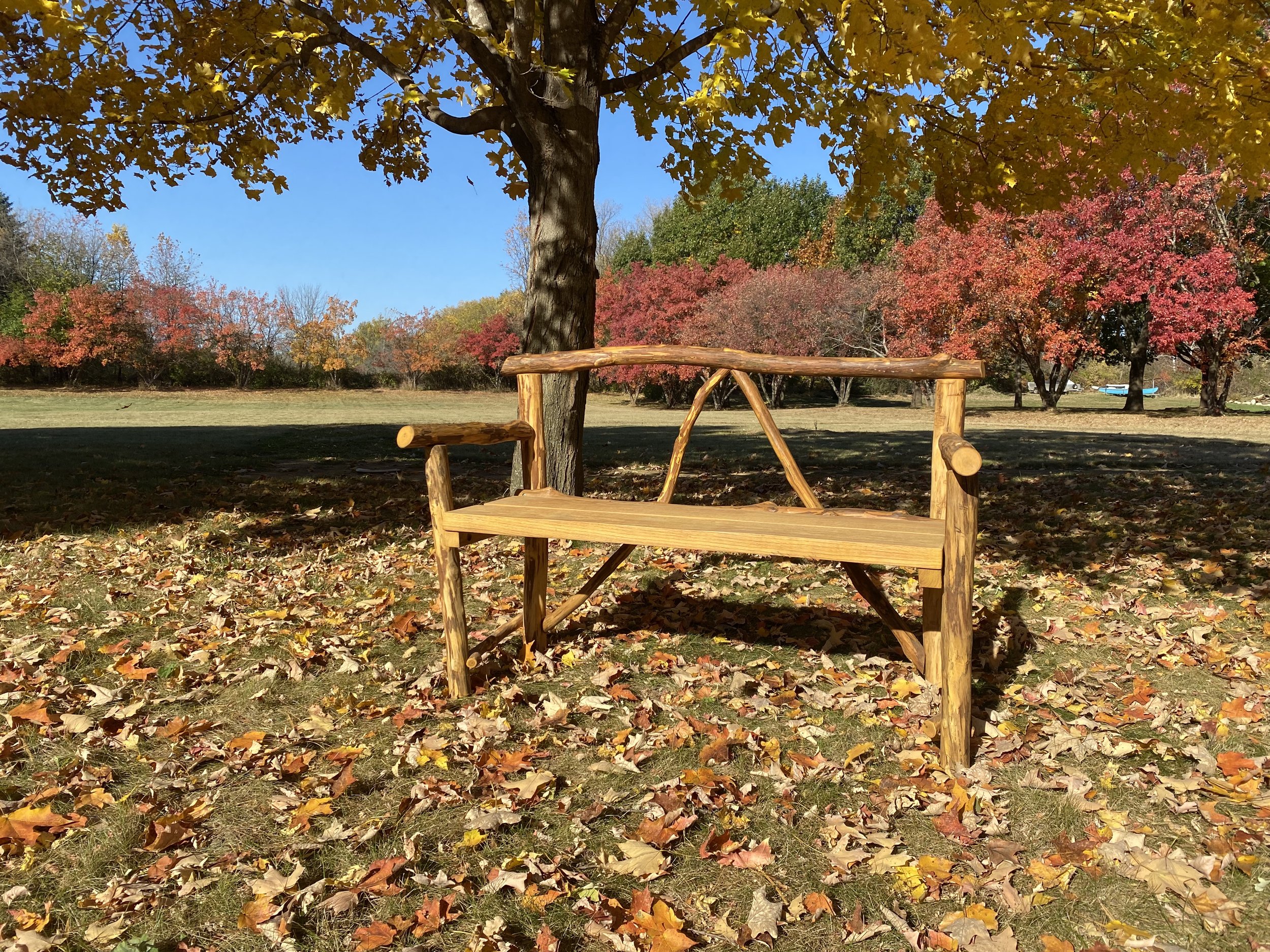 bench2.jpeg