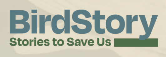 BirdStory - Stories to save us
