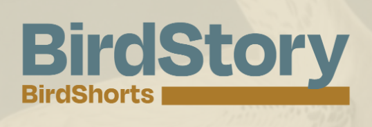 BirdStory - BirdShorts