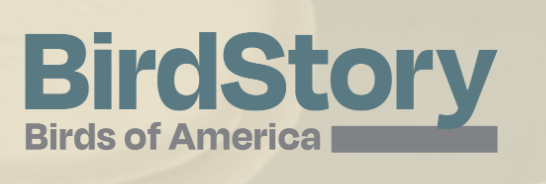 BirdStory - Birds of America