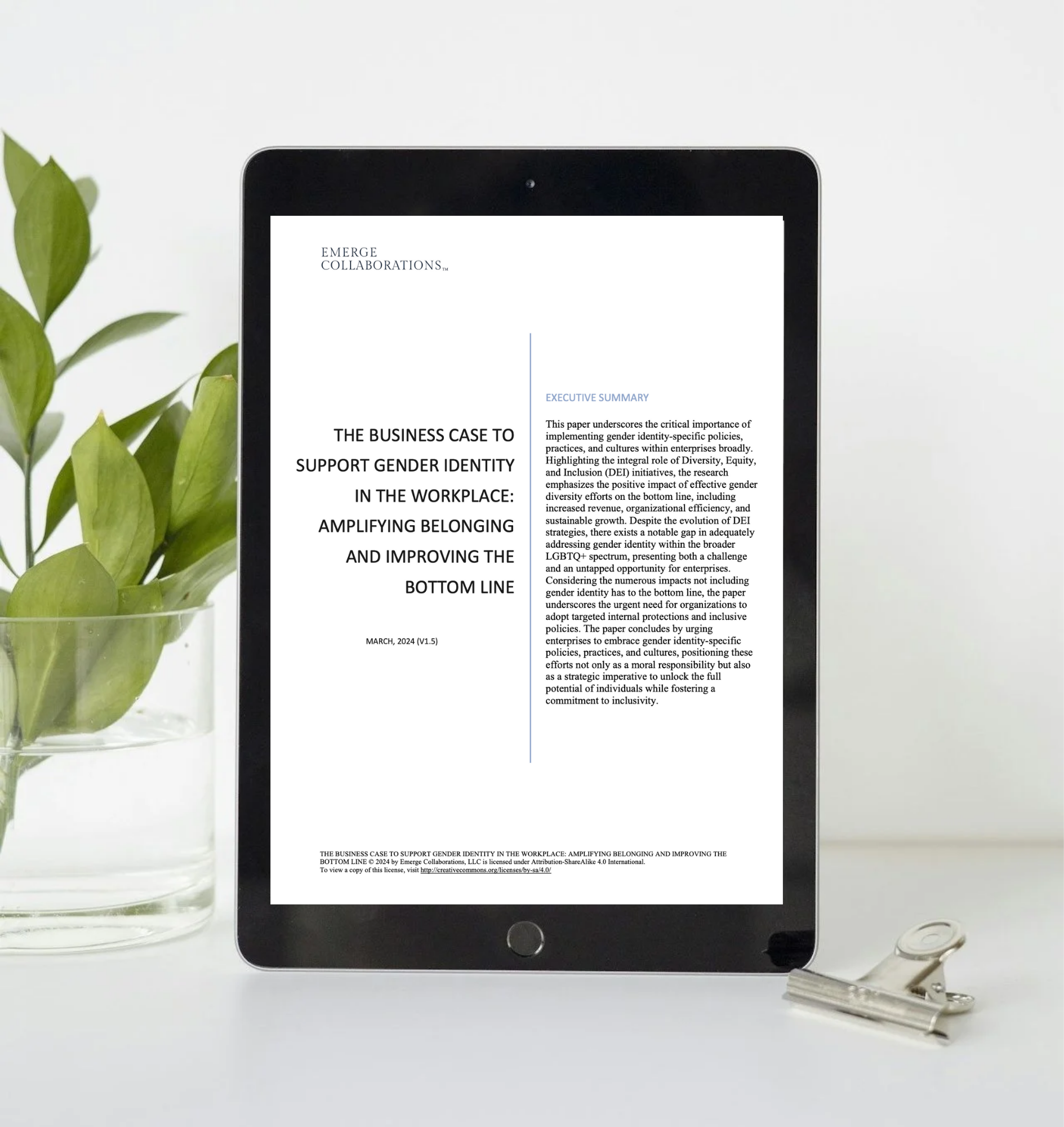 Thumbnail preview of Emerge Collaboration's paper on The Business Case to Support Gender Identity in the Workplace