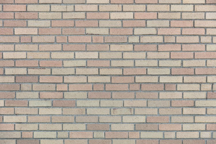 Tufts University Supplemental Essays — UPgraded