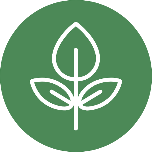 brandeis-university-supplemental-essays-upgraded