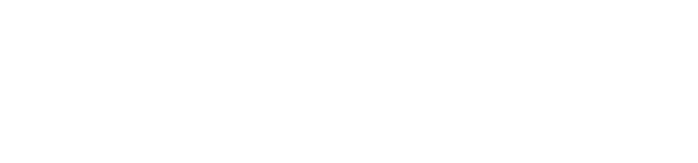 Born Hospitality Group