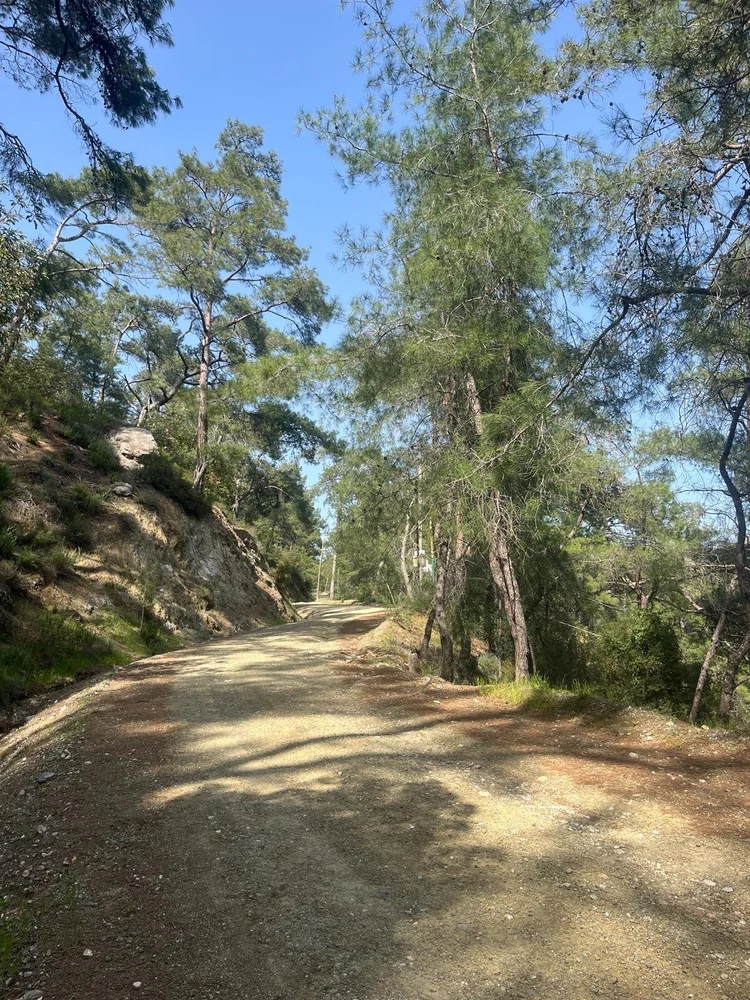 Abelya Camping Karacasöğüt yürüyüş yolu Marmaris Gökova en iyi kamp yeri