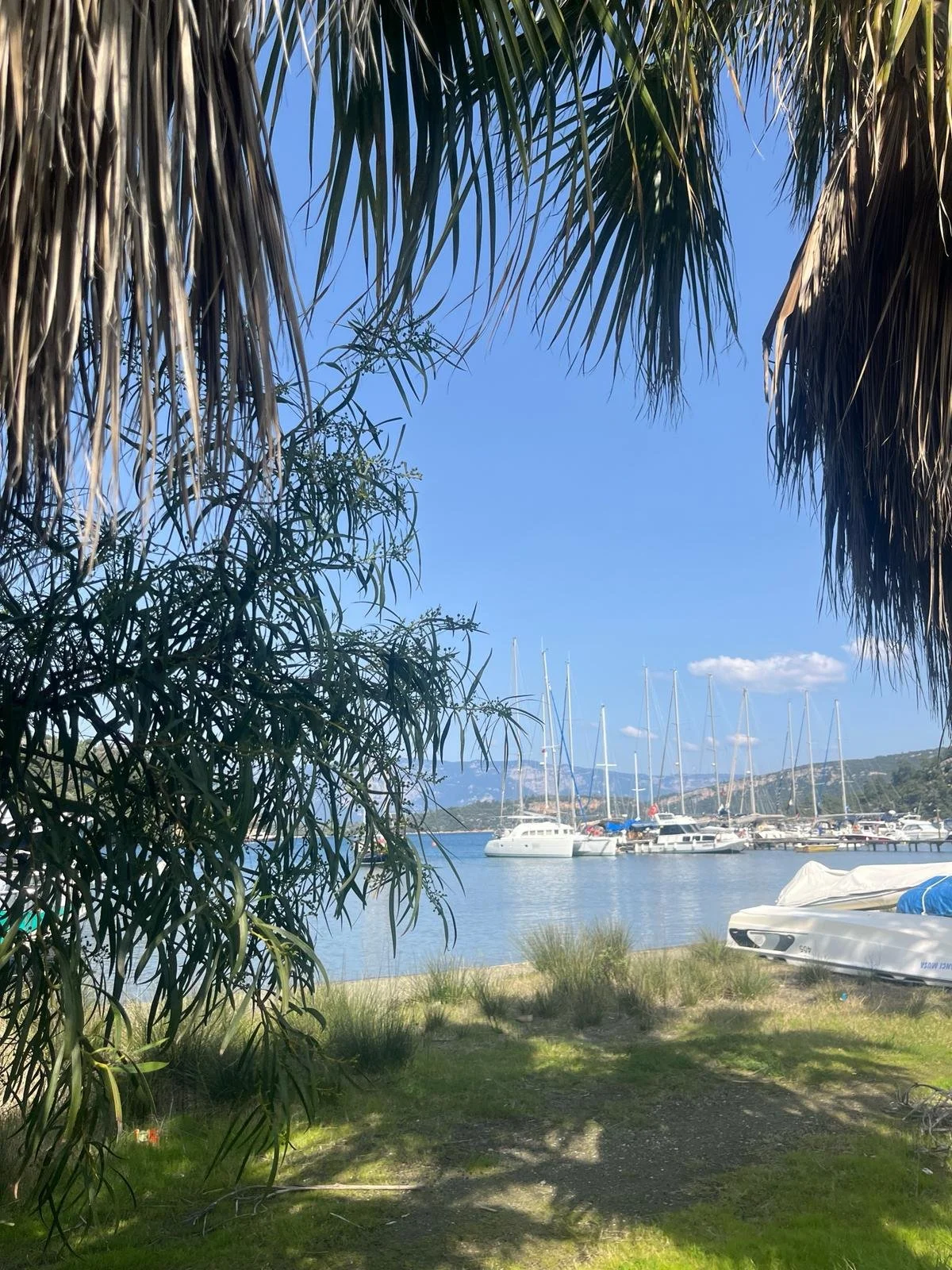 Abelya Camping Karacasöğüt kamp alanı tesisleri Marmaris Gökova kamping