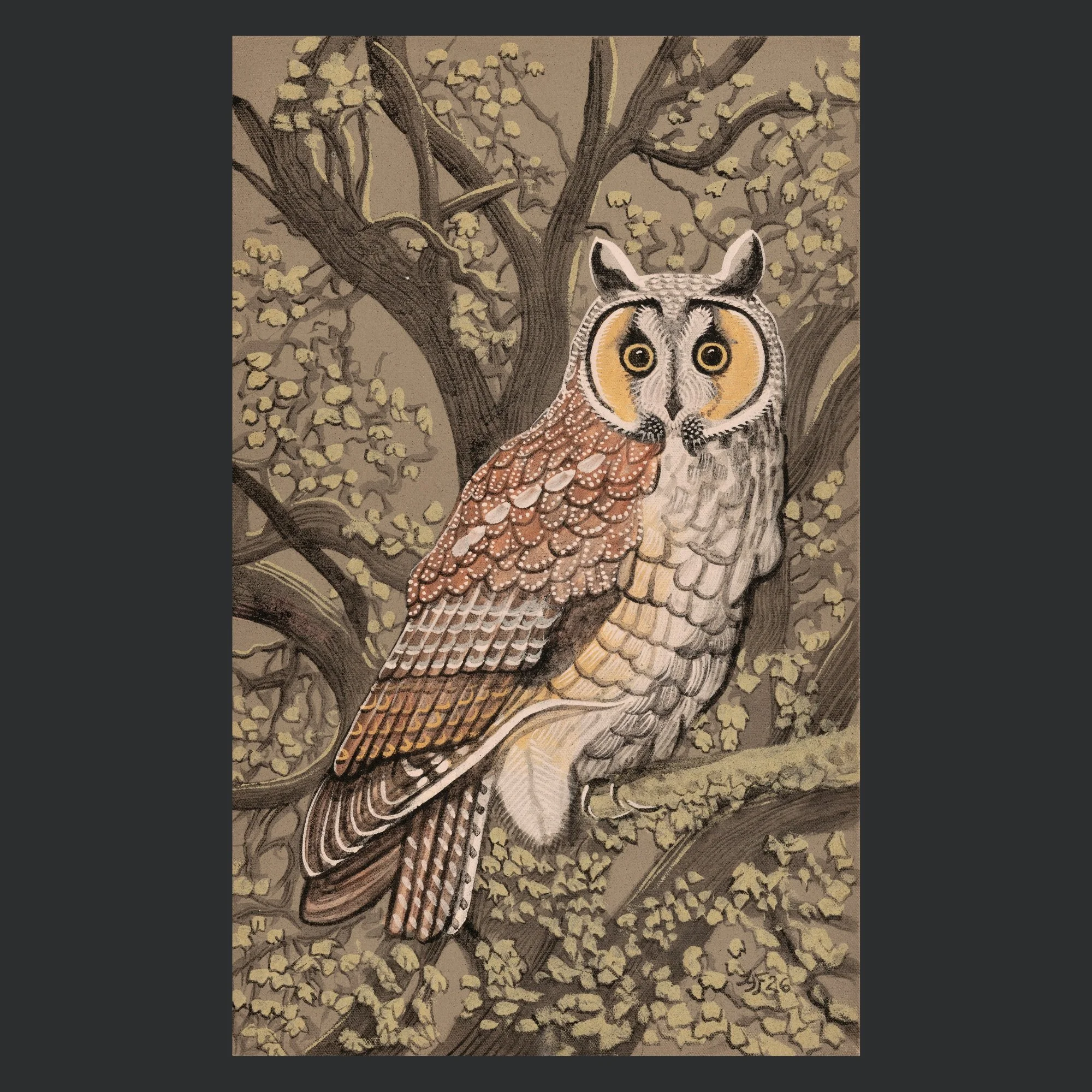 "LONG EARED OWL" ARCHIVAL PRINT ON COLD PRESS COTTON PAPER