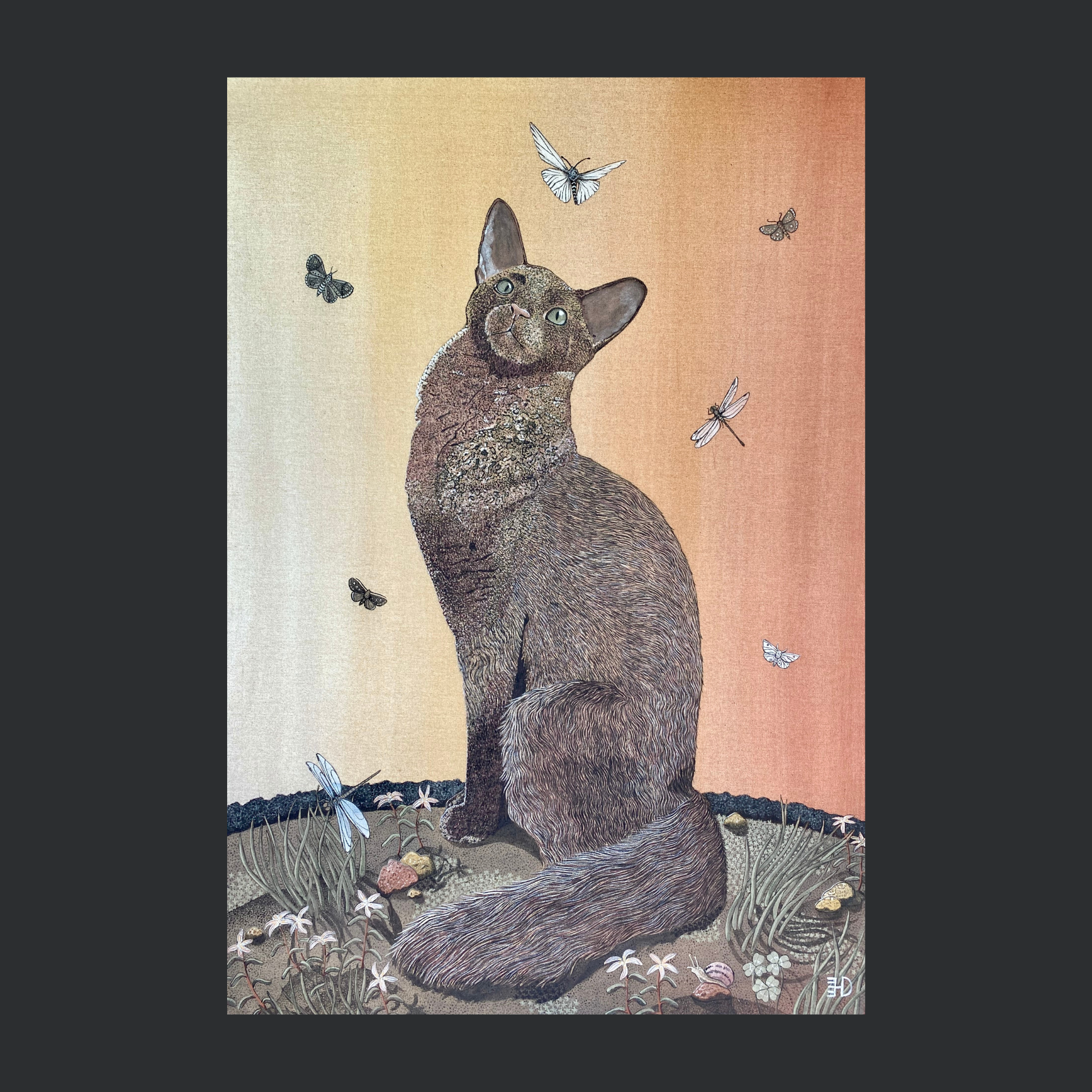 "WONDER" ARCHIVAL PRINT ON COLD PRESS COTTON PAPER