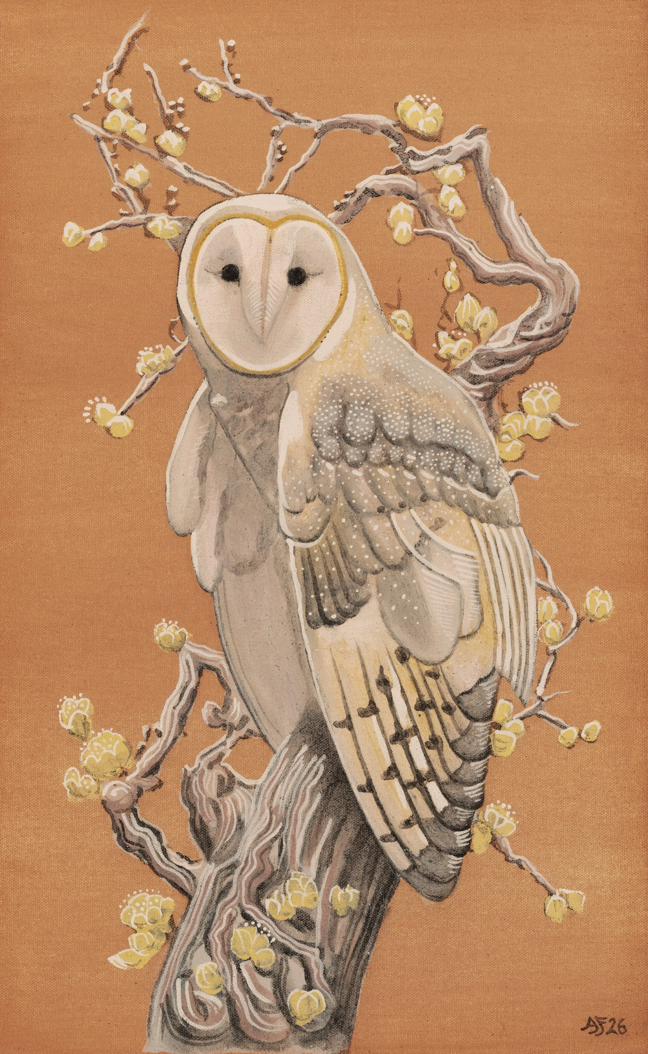 Barn Owl.jpeg