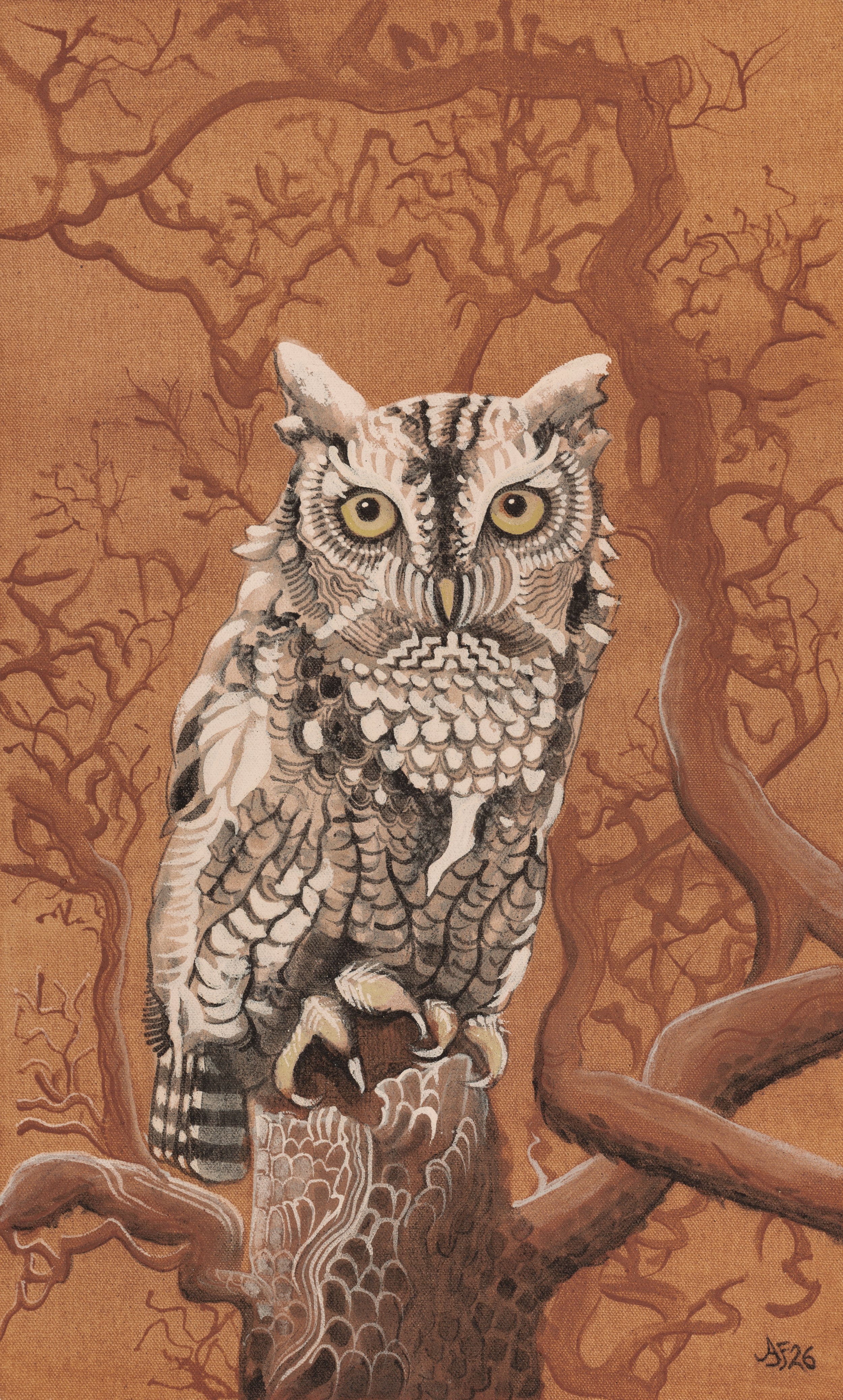 Eastern Screech Owl.jpeg