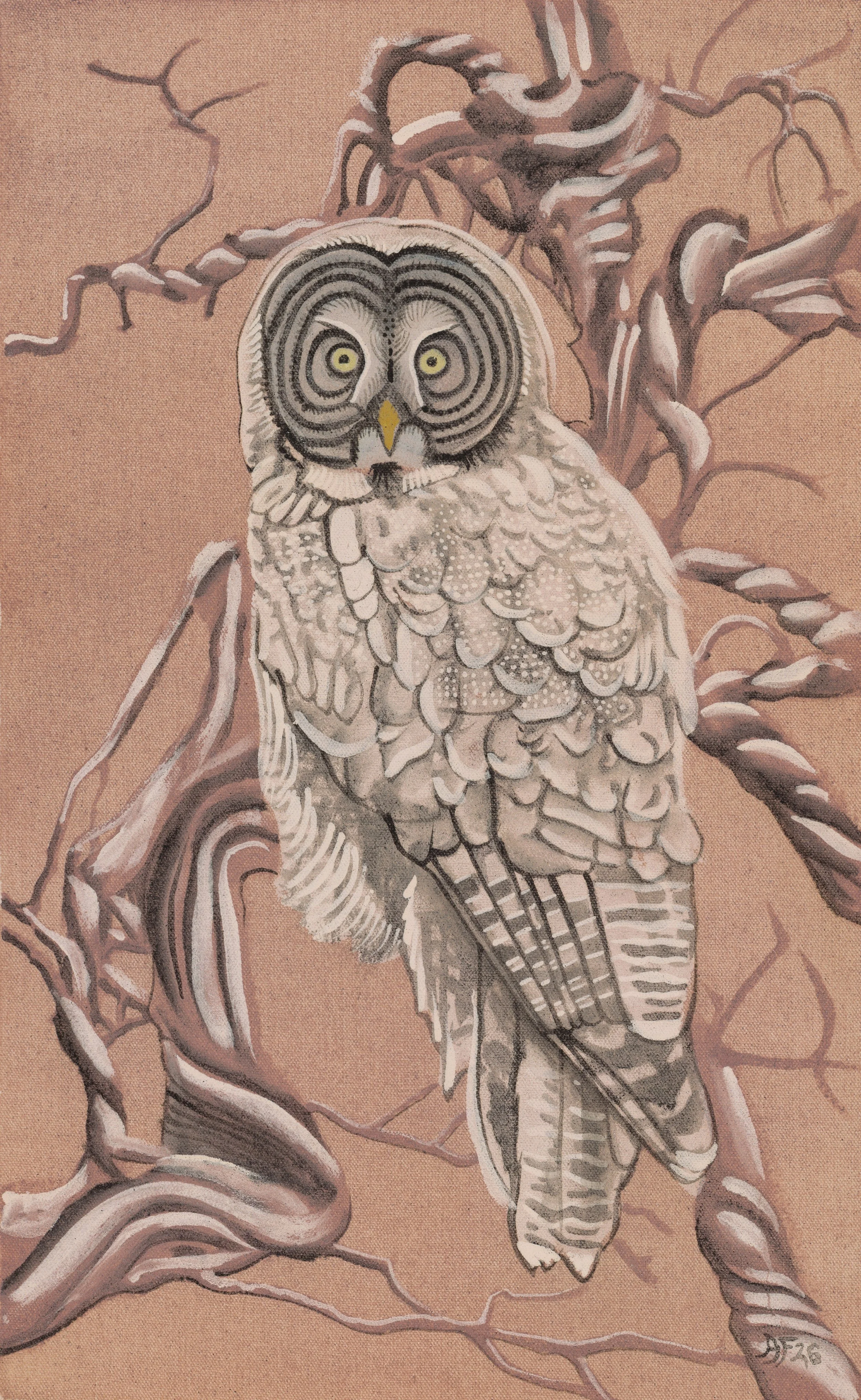 Grey Owl.jpeg