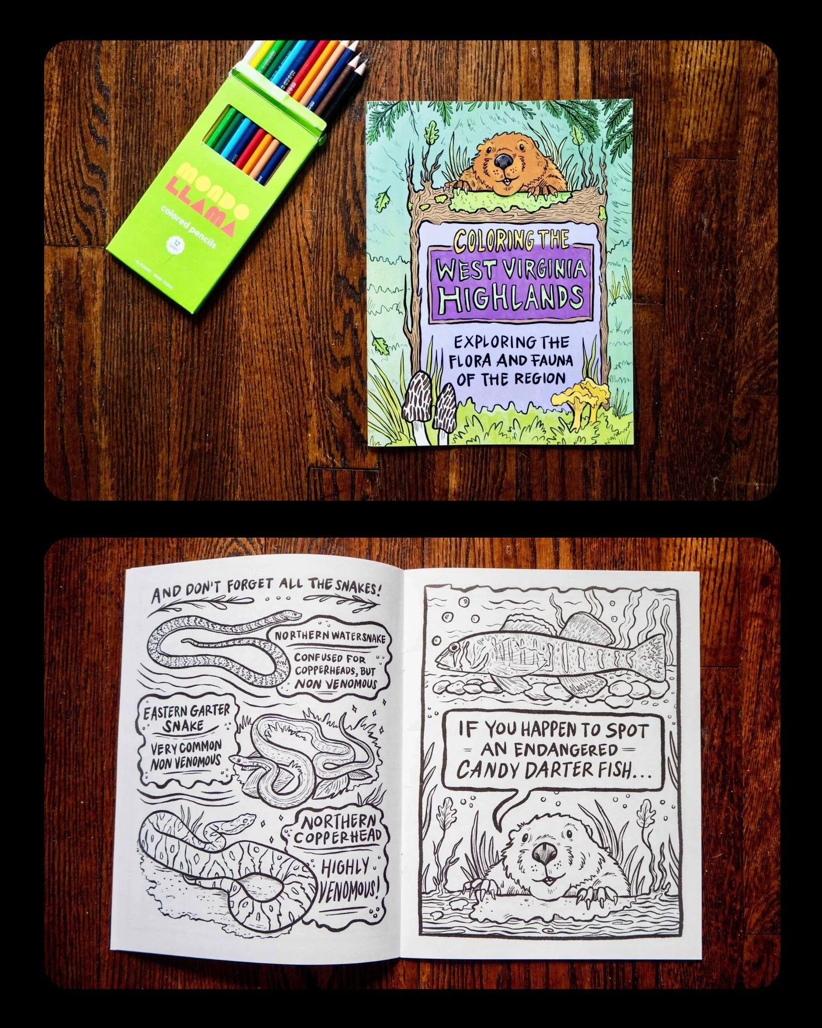 West Virginia Highlands Conservancy Coloring Book, 2024