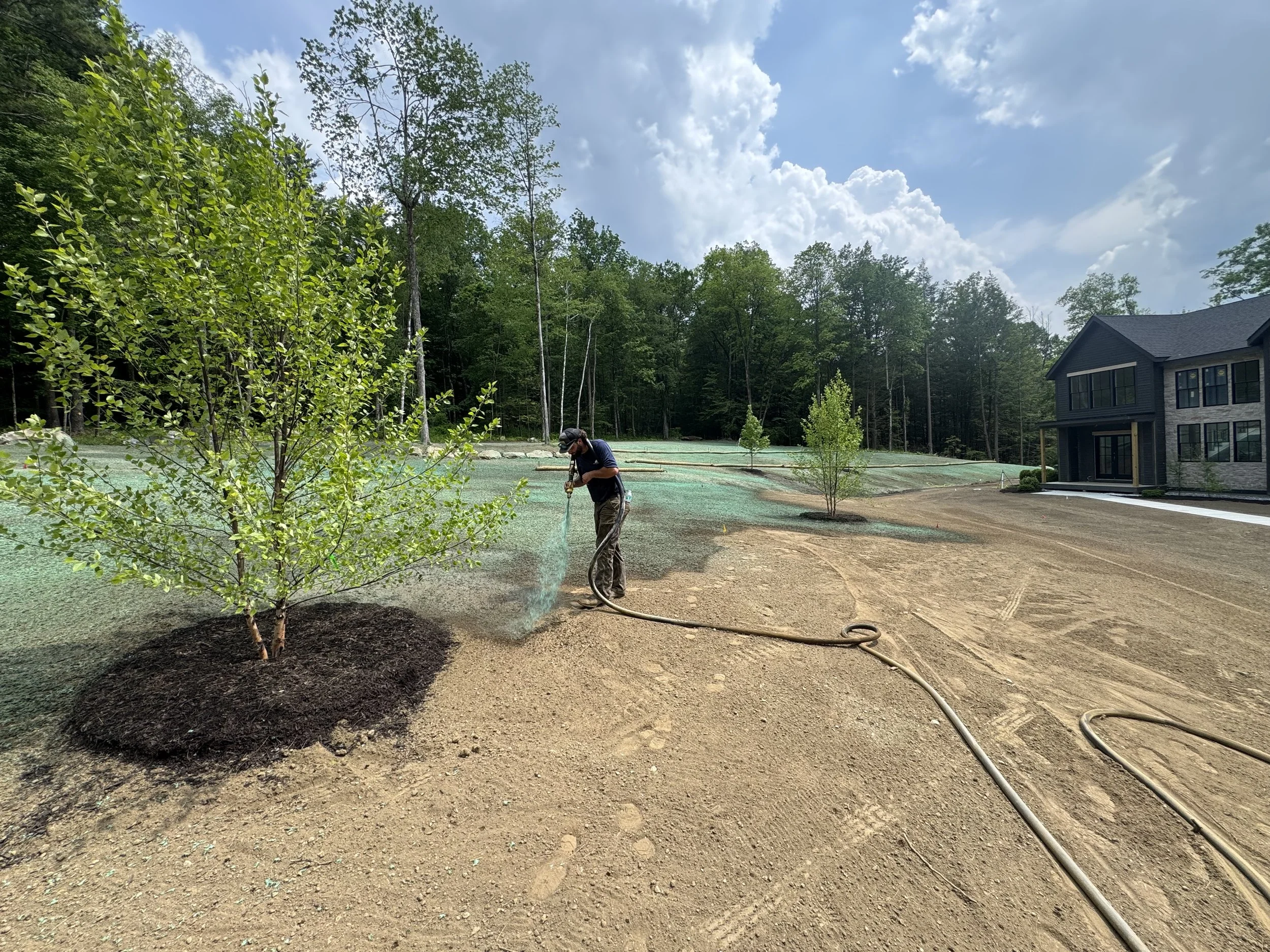 hydroseeding.jpeg