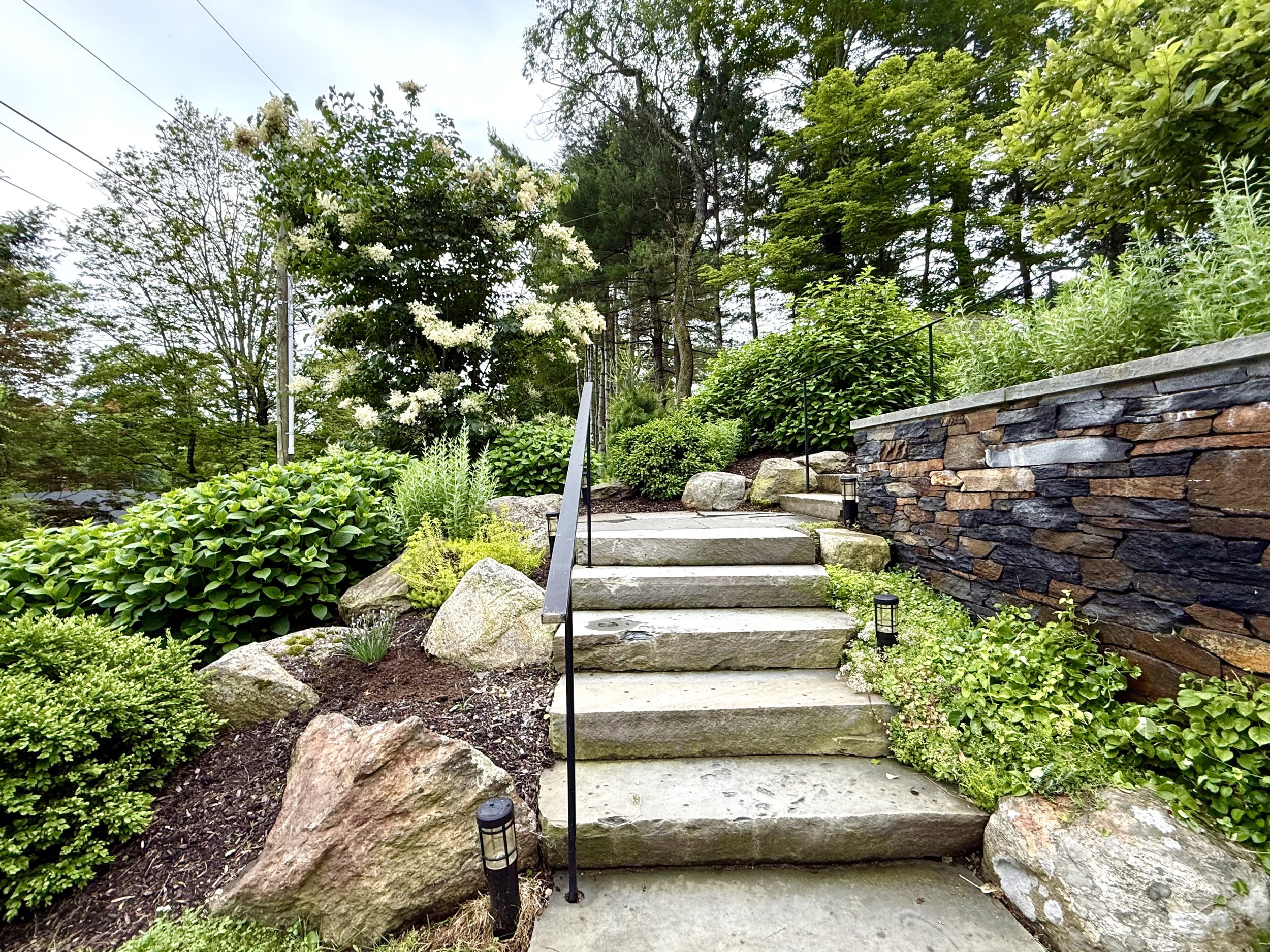 Gardening & Landscaping 101.jpeg