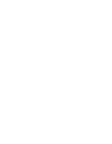 Silhouette of a bare tree with extensive roots, black background