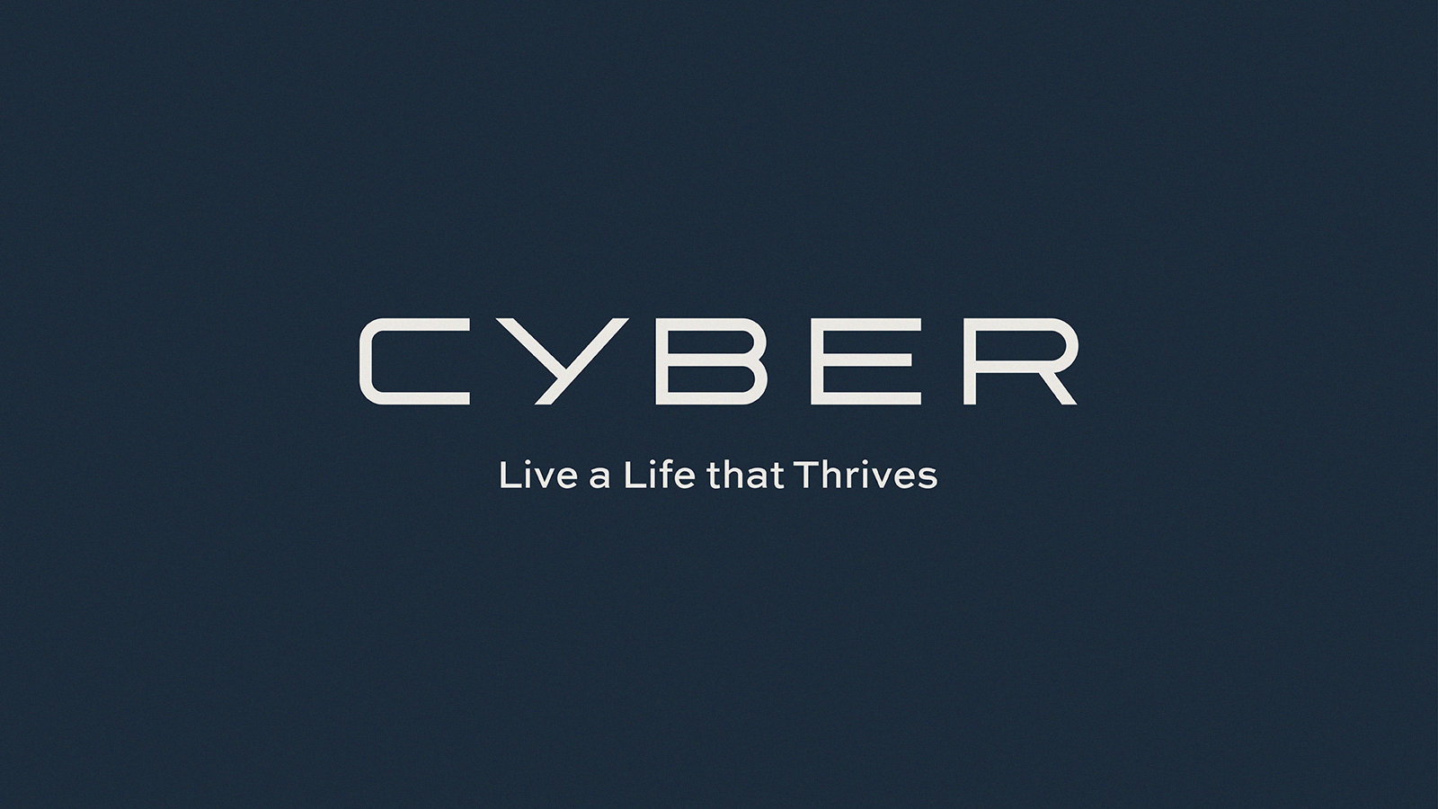 Rabe_Site_Cyber_2.png