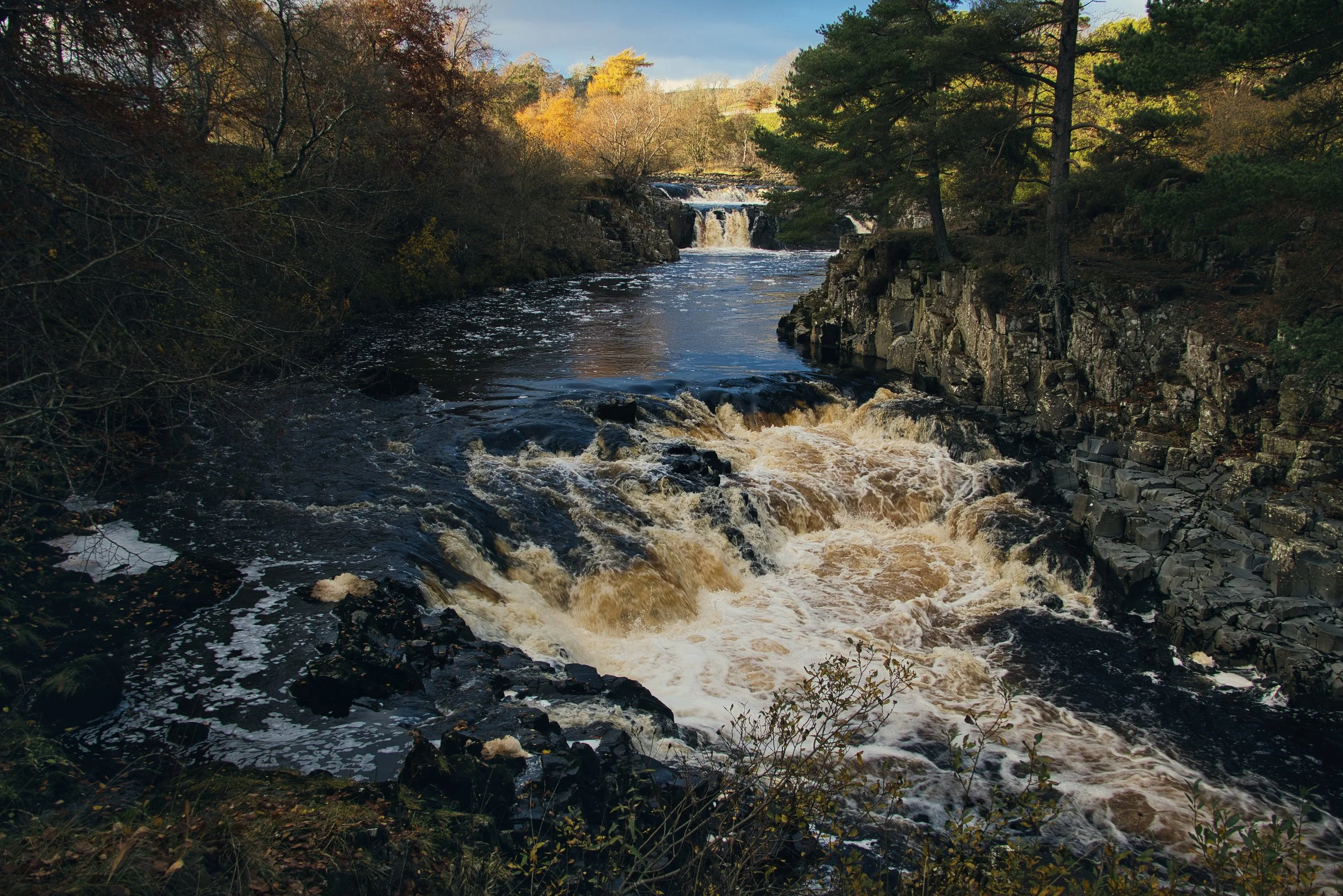 Low Force