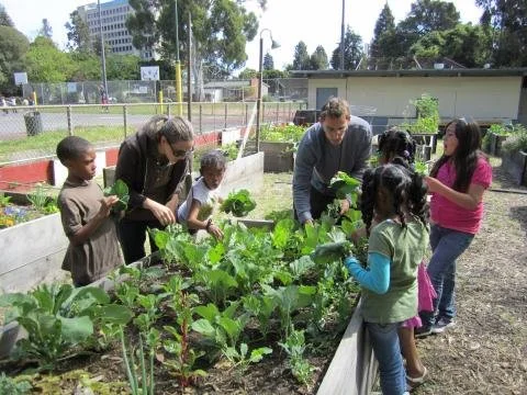 Community Garden