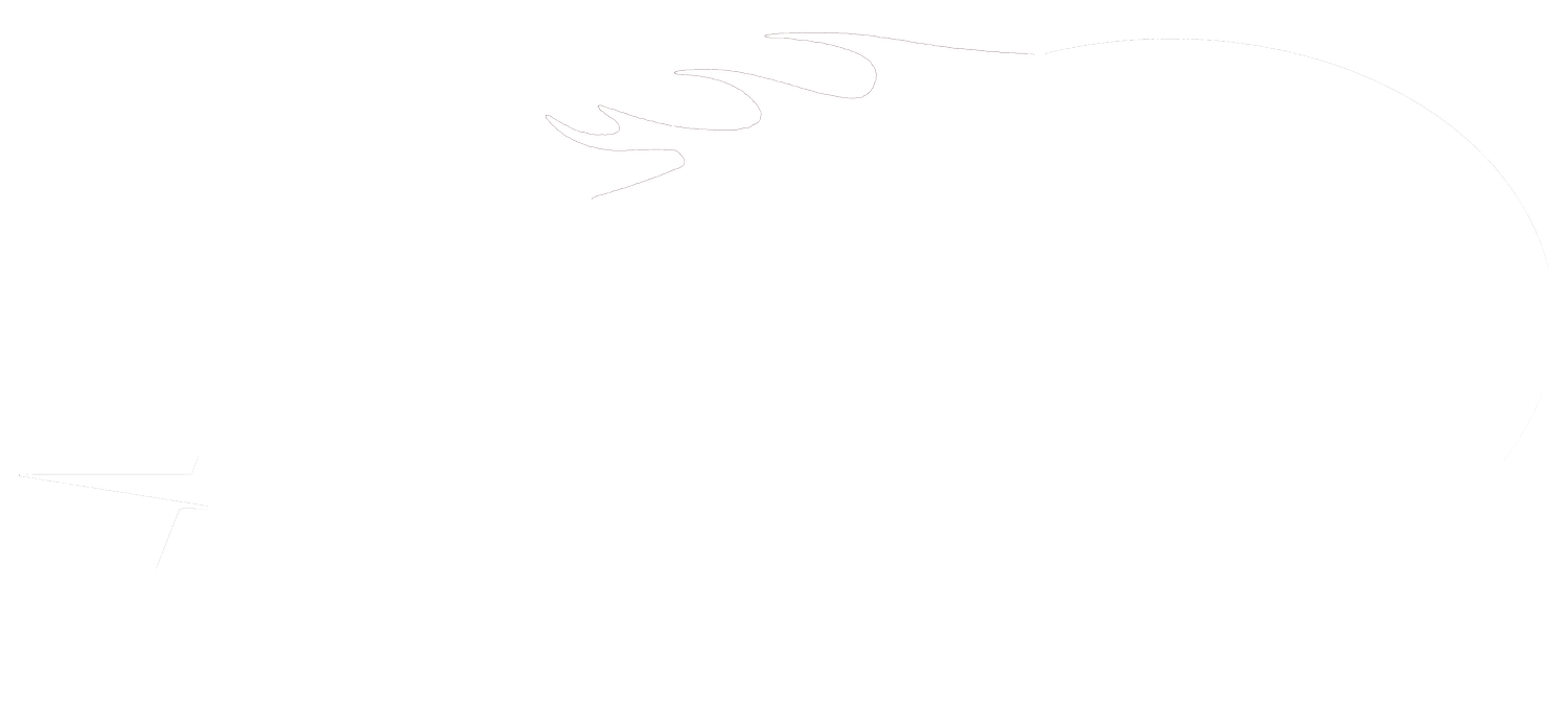 Speed Store | Drive Up Grocers