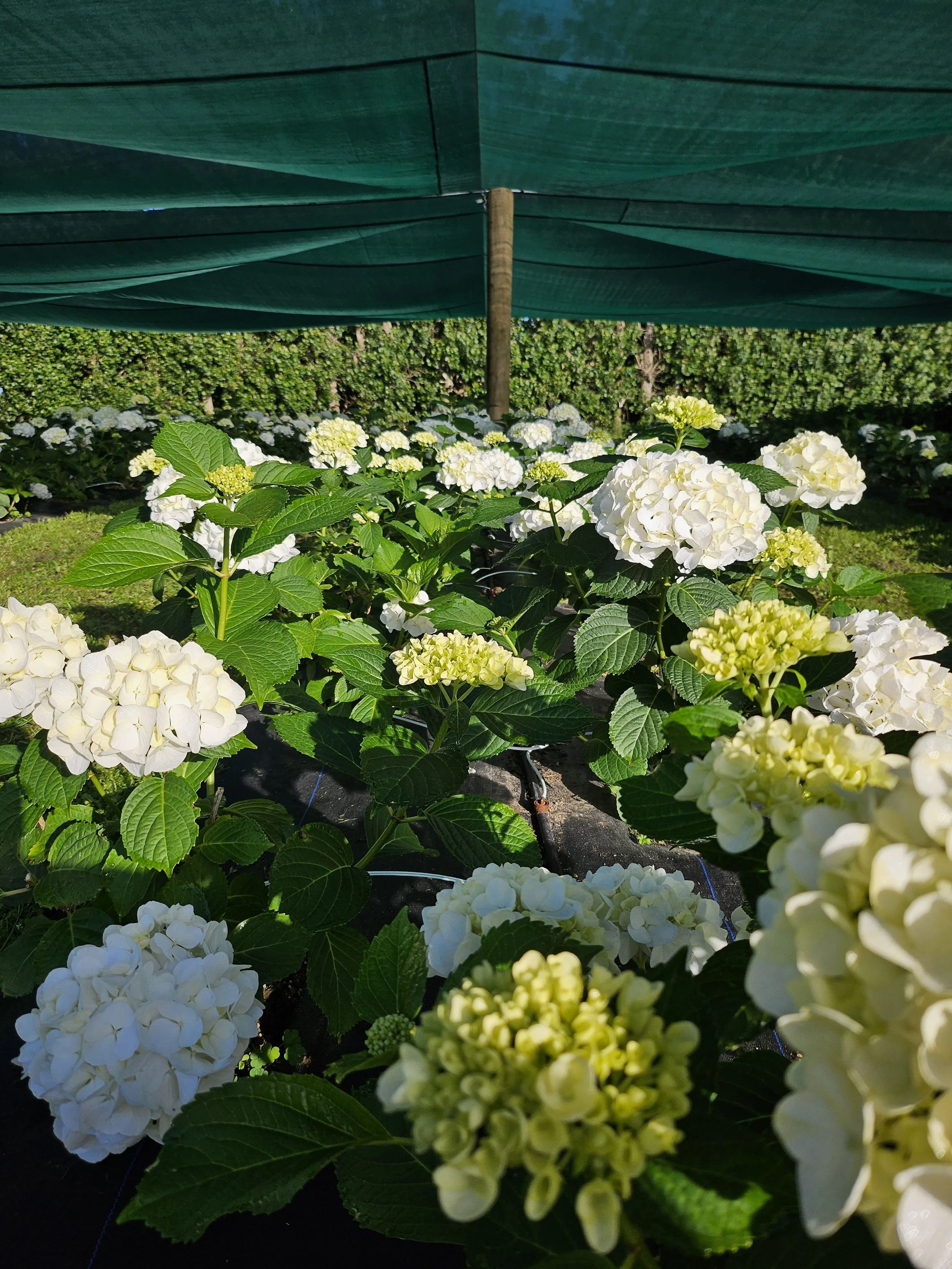 20231209_074751 (1).jpg