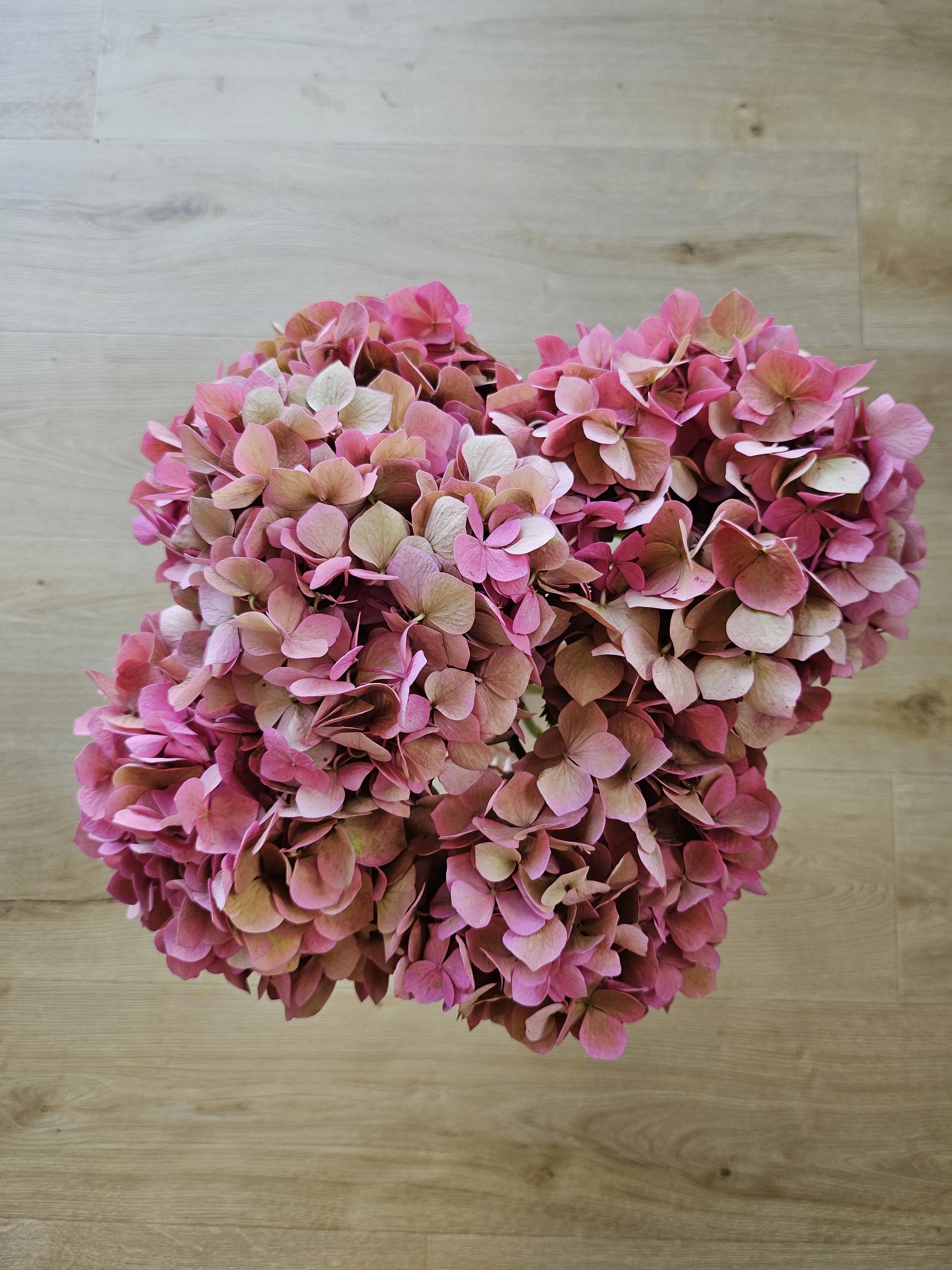 20240110_154359 (1).jpg