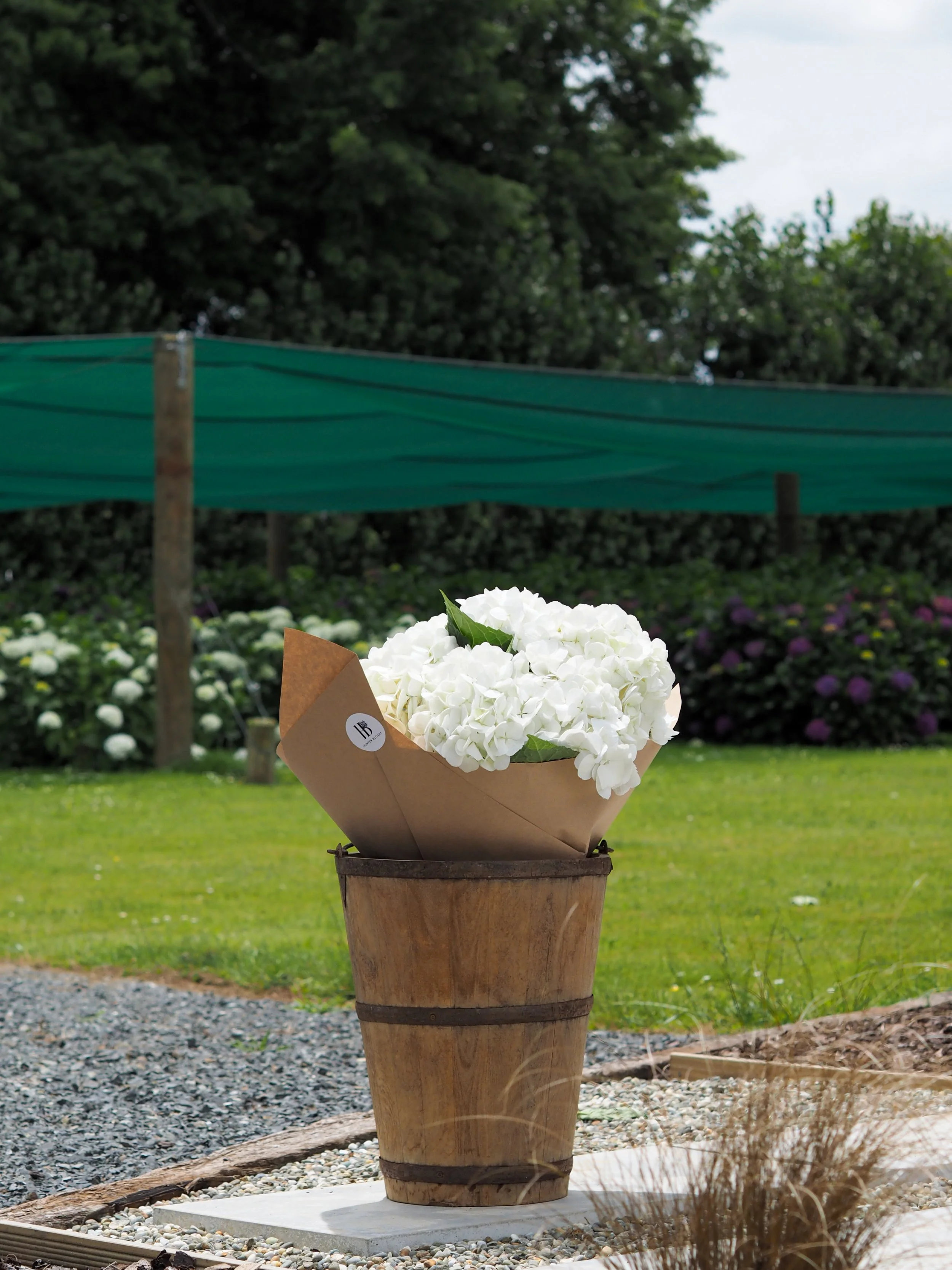 White Hydrangea Bunch (SOLD OUT)
