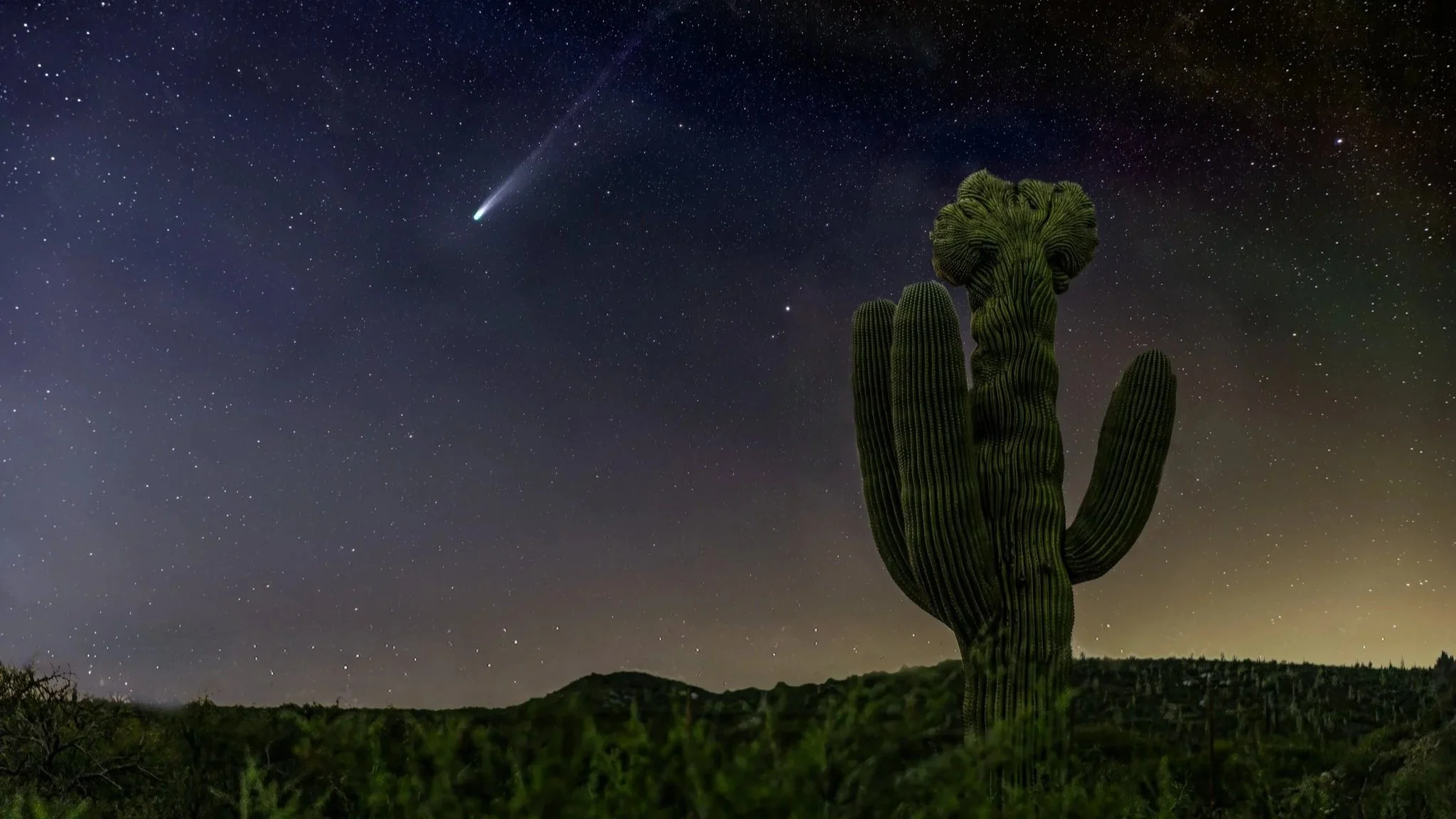 Saving the Stars