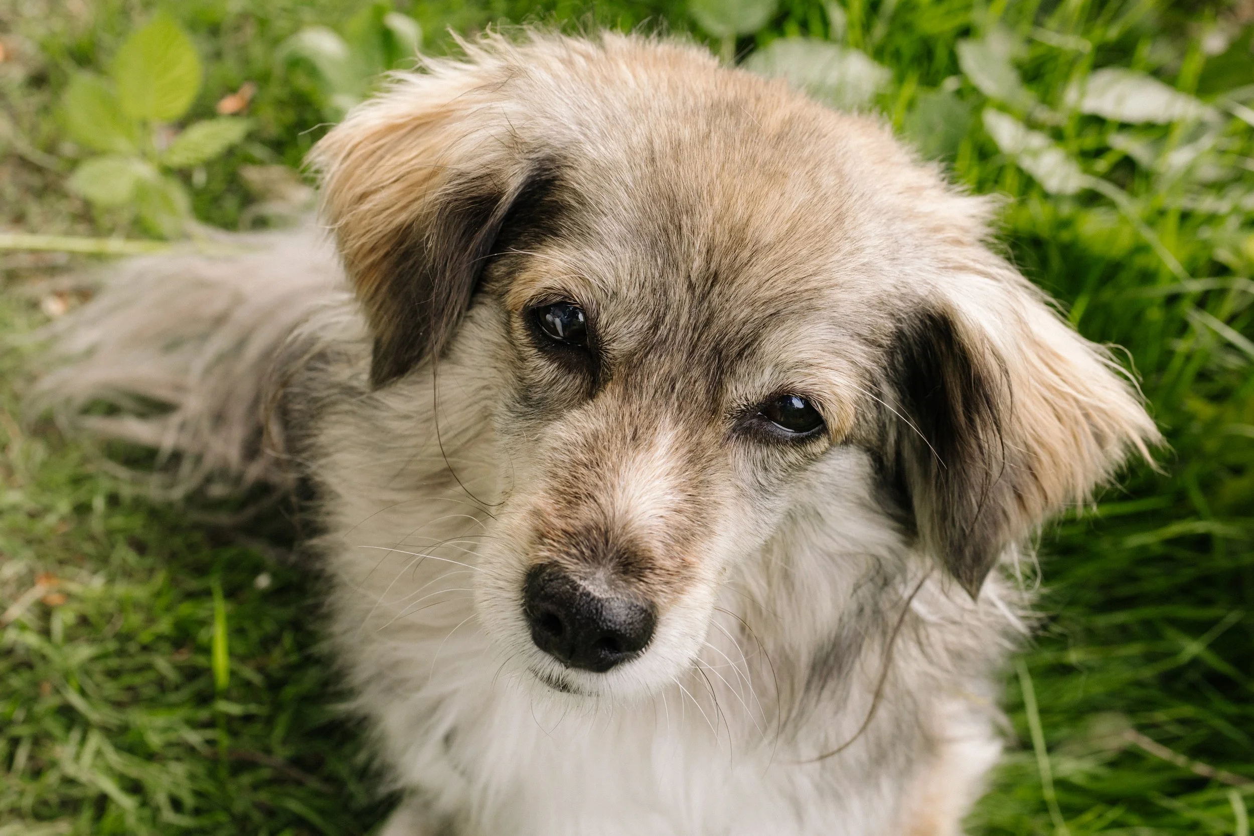 Arthritis Management 