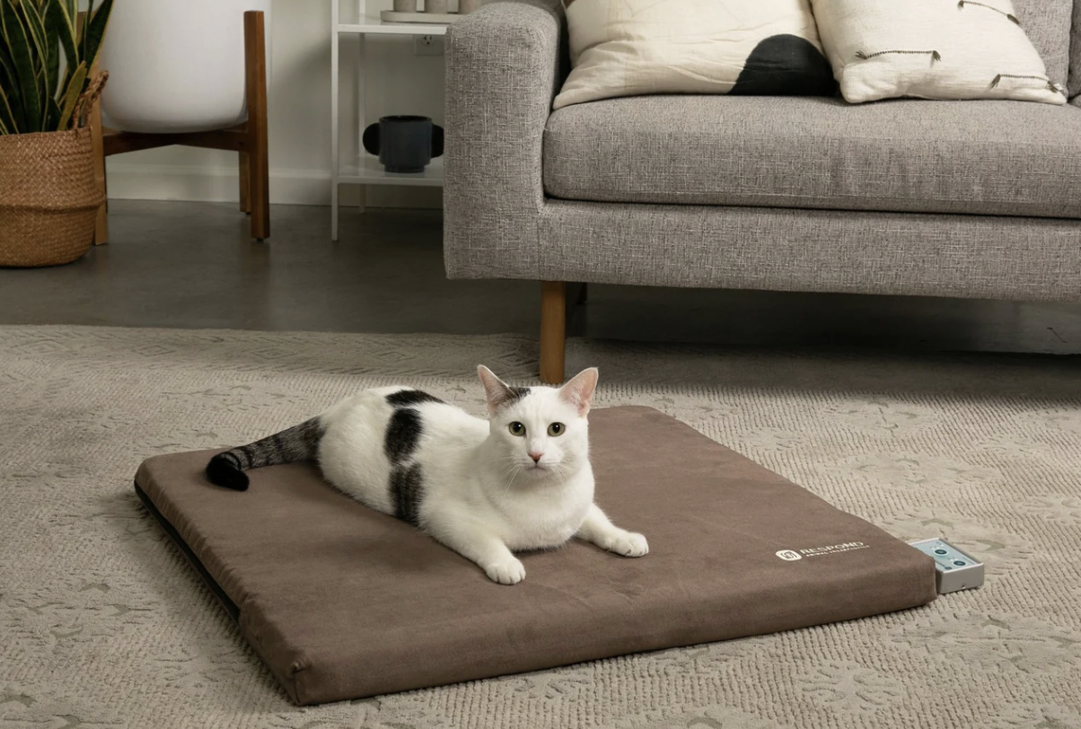 A white and black cat laying on a brown heated pet mat in a living room. There is a gray sofa, a white shelf, a plant in a basket, and a floor lamp in the background.