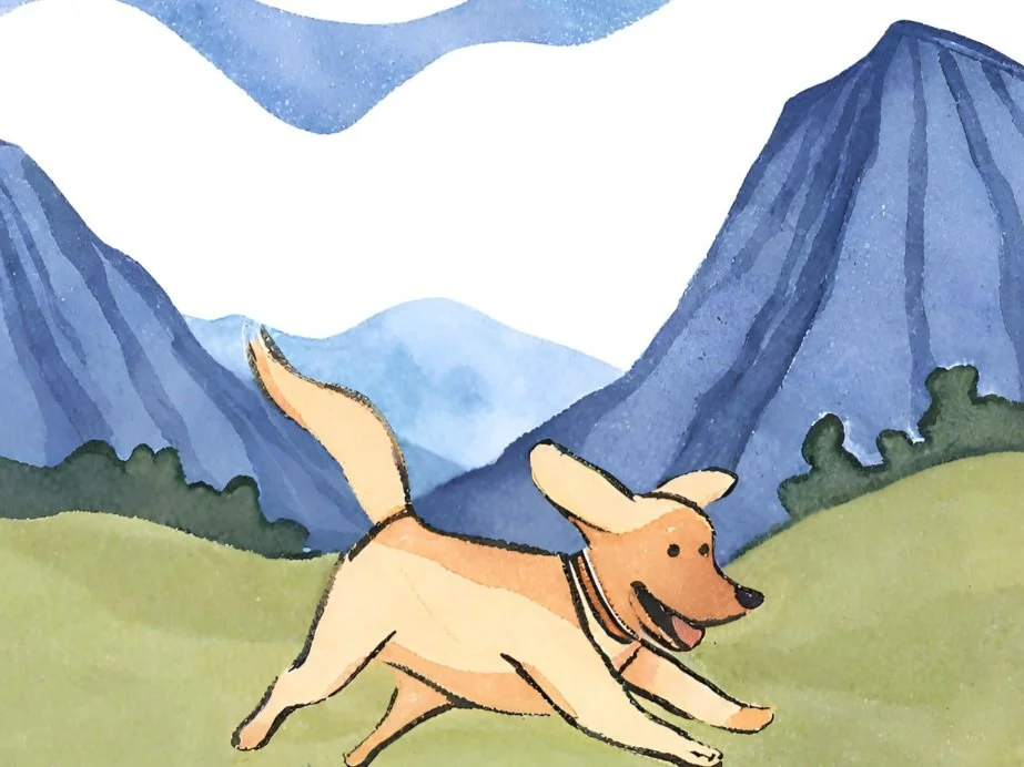 Vet Acupuncture Near me LAIKA Laikavet.care