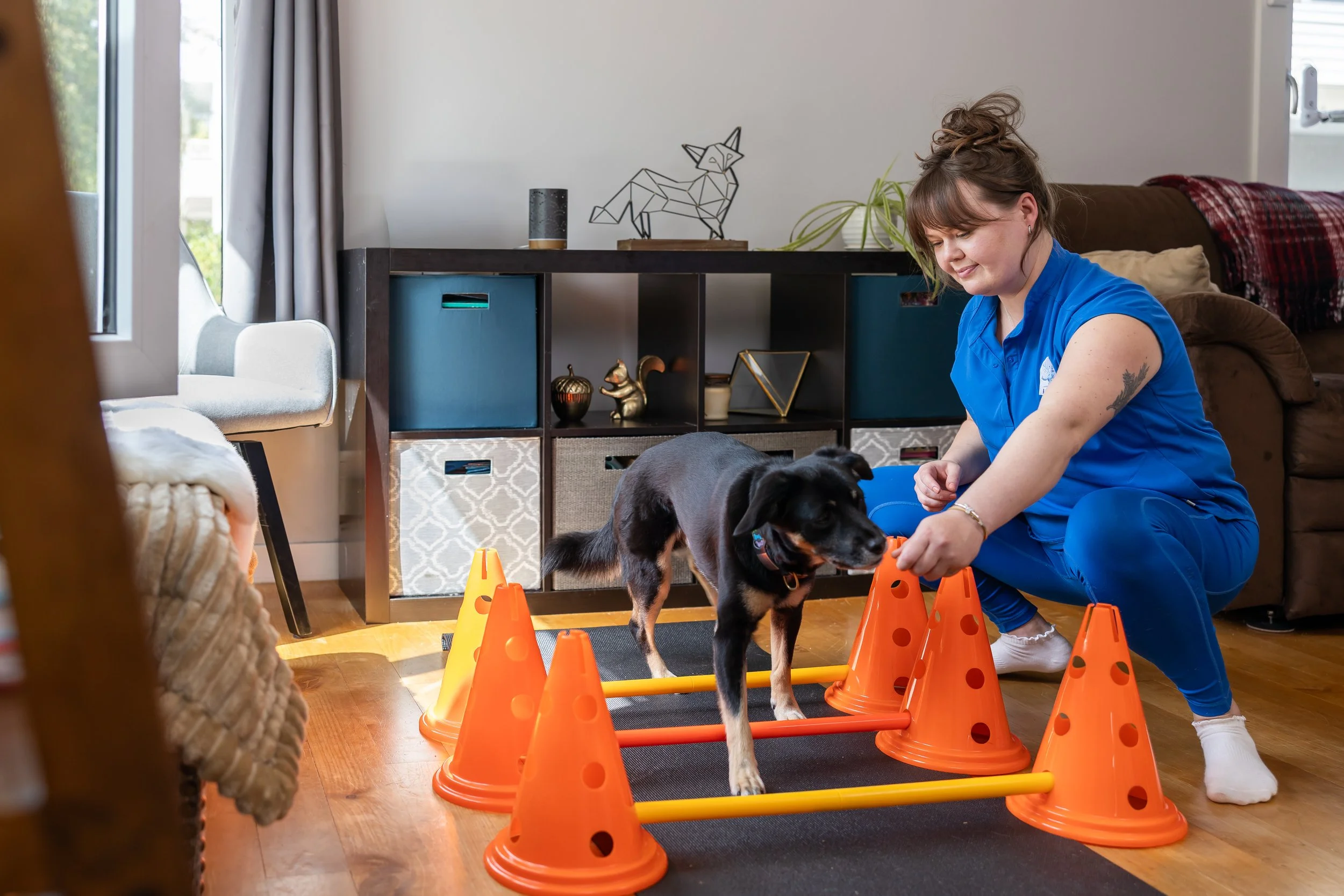A woman in blue scrubs playing with a black and white puppy on an indoor agility course made of orange cones and yellow bars in a living room.