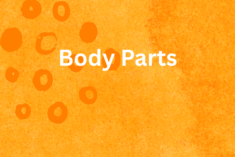 Card Deck - Body Parts