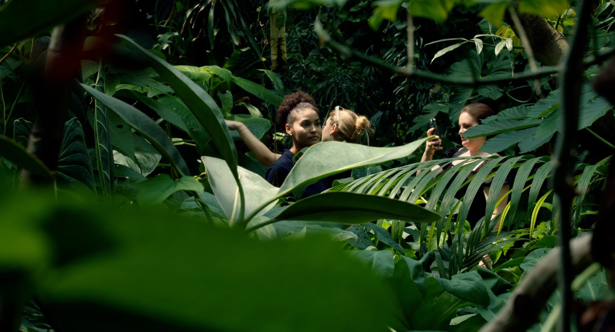 Three women standing among lush tropical plants, with one woman taking a photo of the other two.
