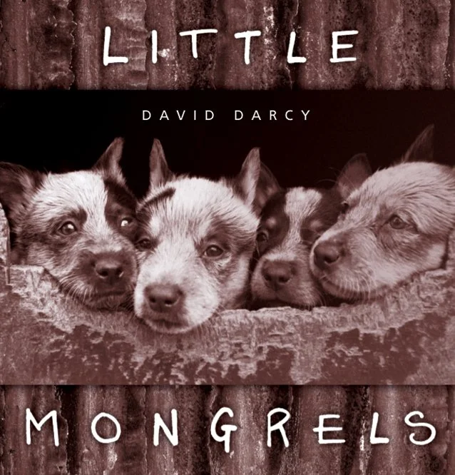 Little Mongrels cover.jpg