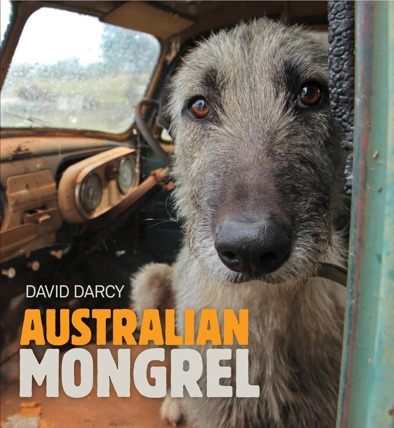 Australian Mongrel cover hi-res.jpg