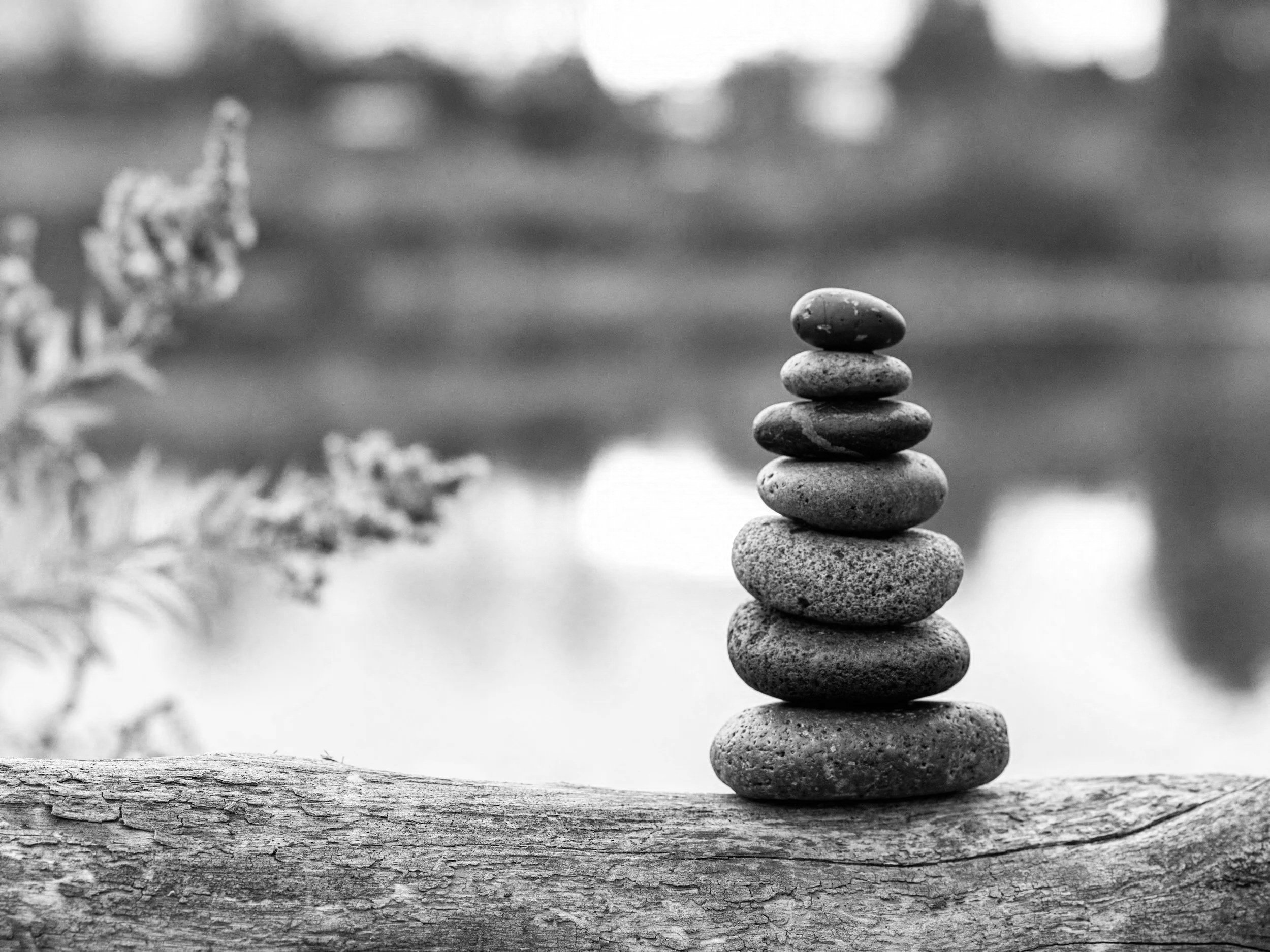 unsplash-image-SHDCQ1l2WD0.jpg