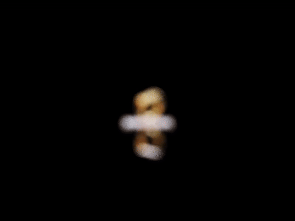 Noggle GIF.gif