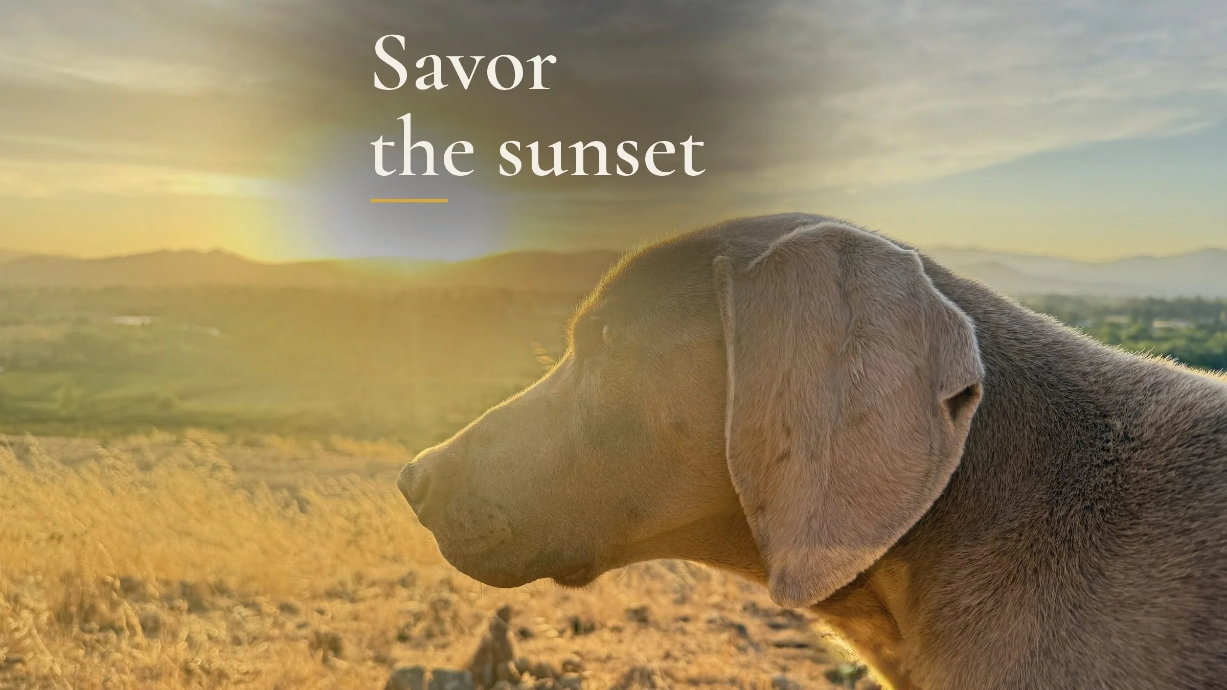 en-01-sunset.jpg