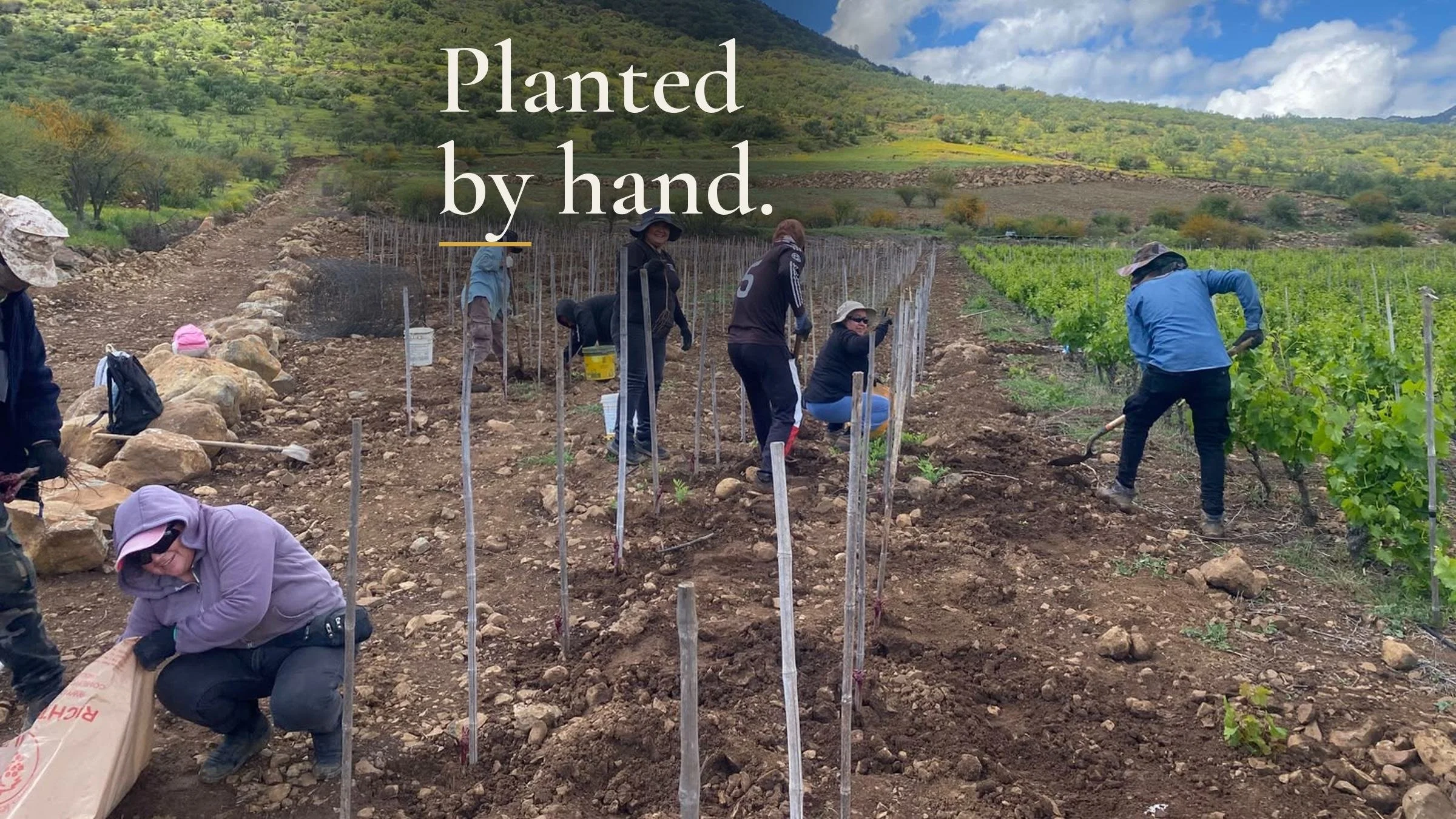 en-02-planting-crew.jpg