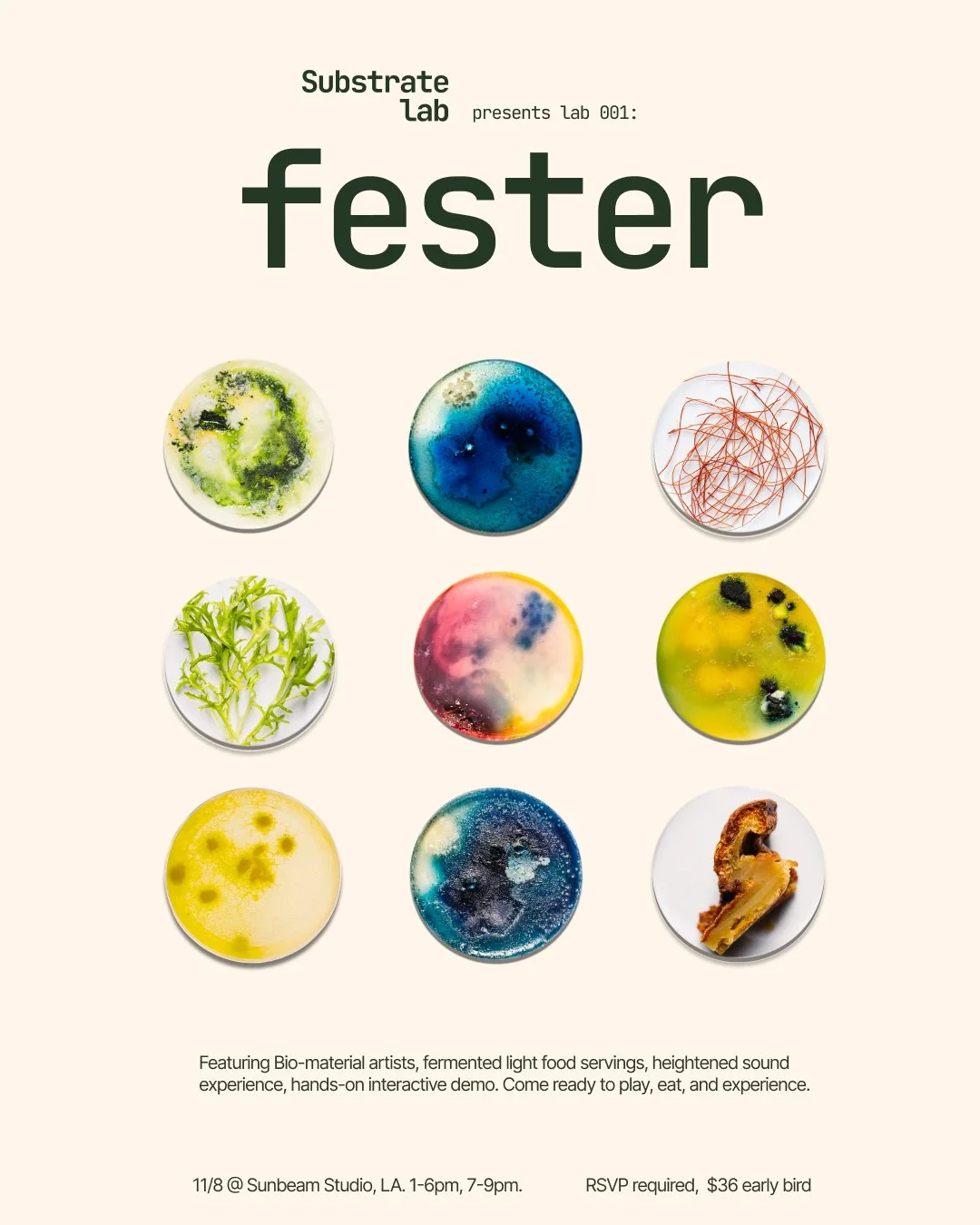 71118690 - Elim Pan.jpeg