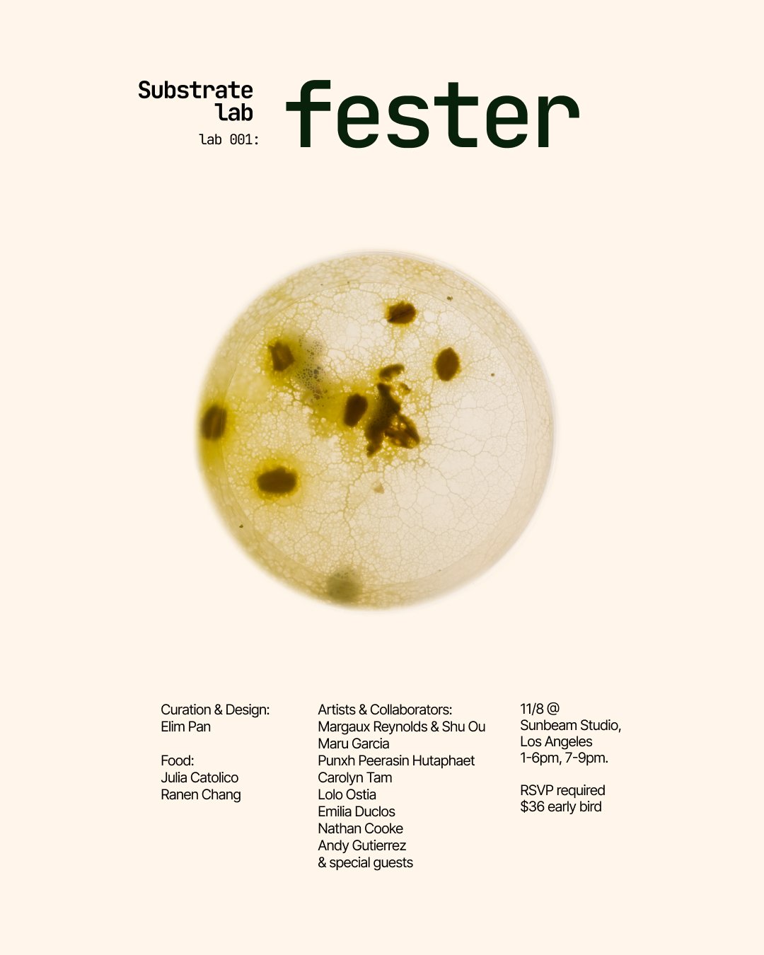 71118694 - Elim Pan.jpeg