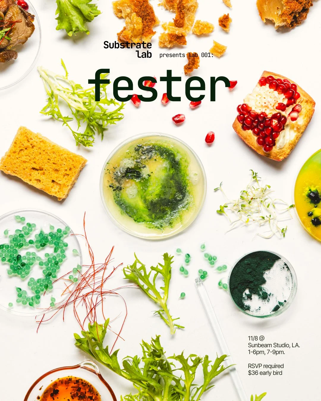 71118689 - Elim Pan.jpeg