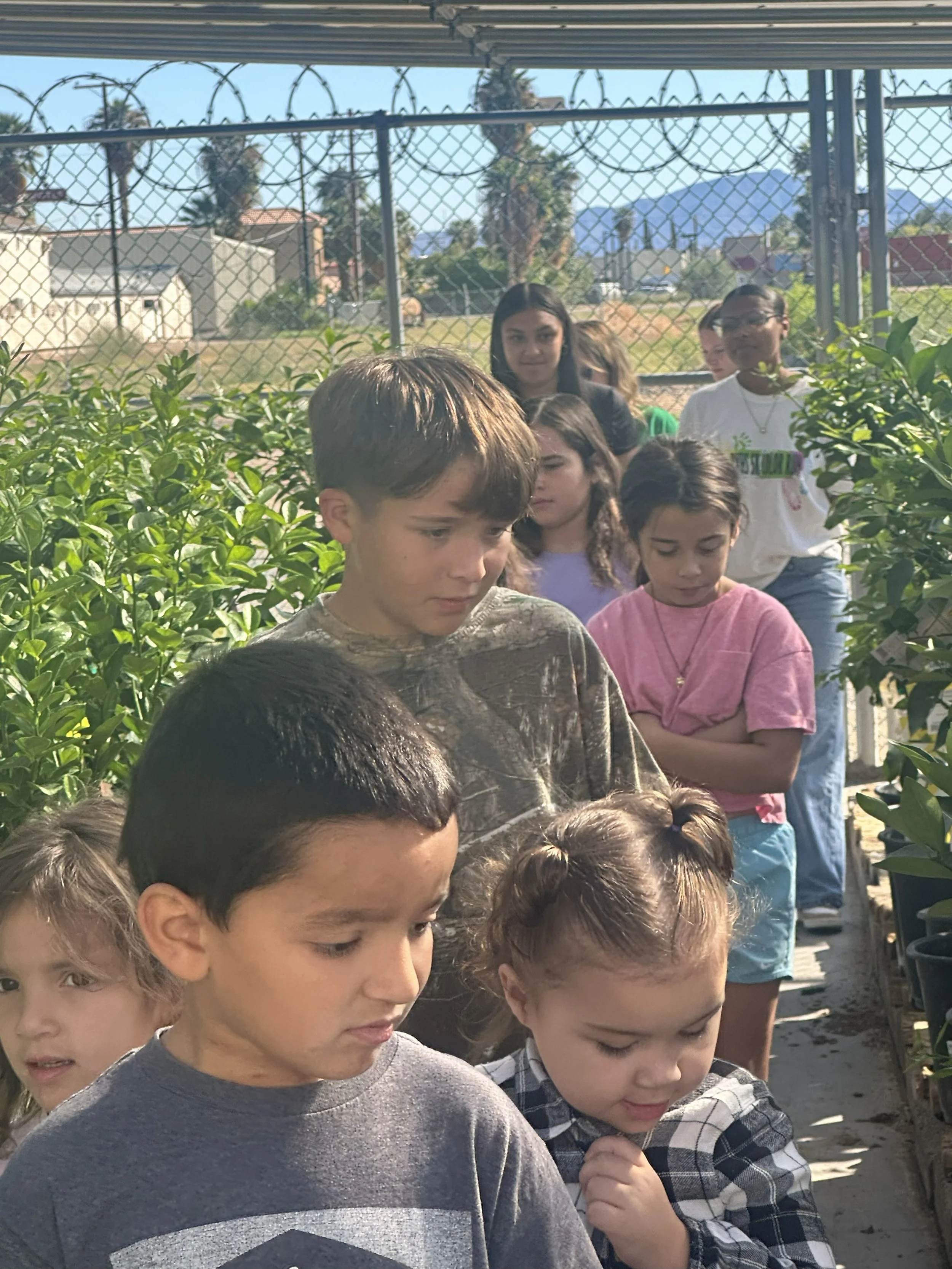 Gardening Class - Ace Hardware