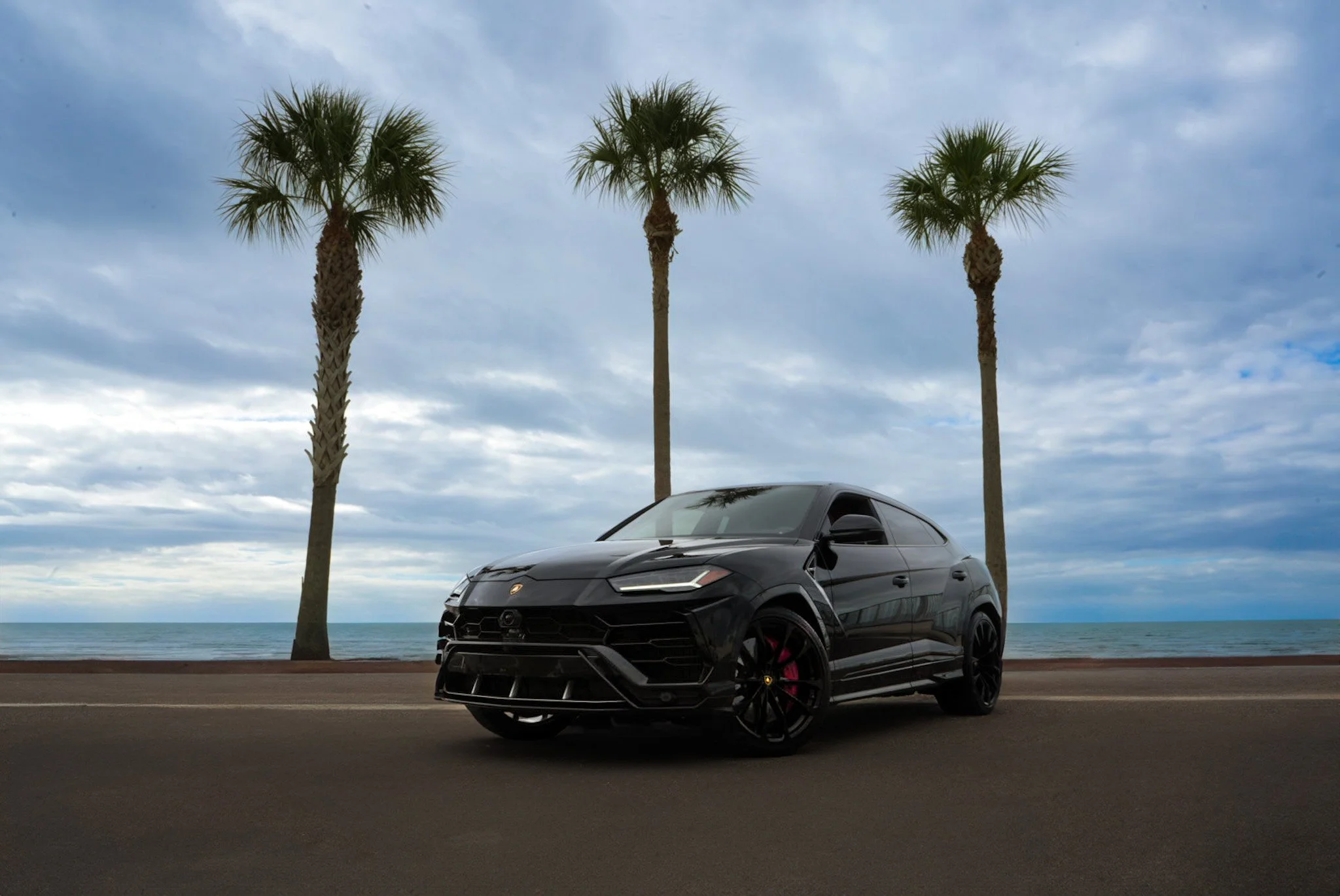 A black sports car Lamborghini Urus parked on a road near the beach with the ocean and three palm trees in the background, under a cloudy sky available for rent in the Tampa Bay Area.