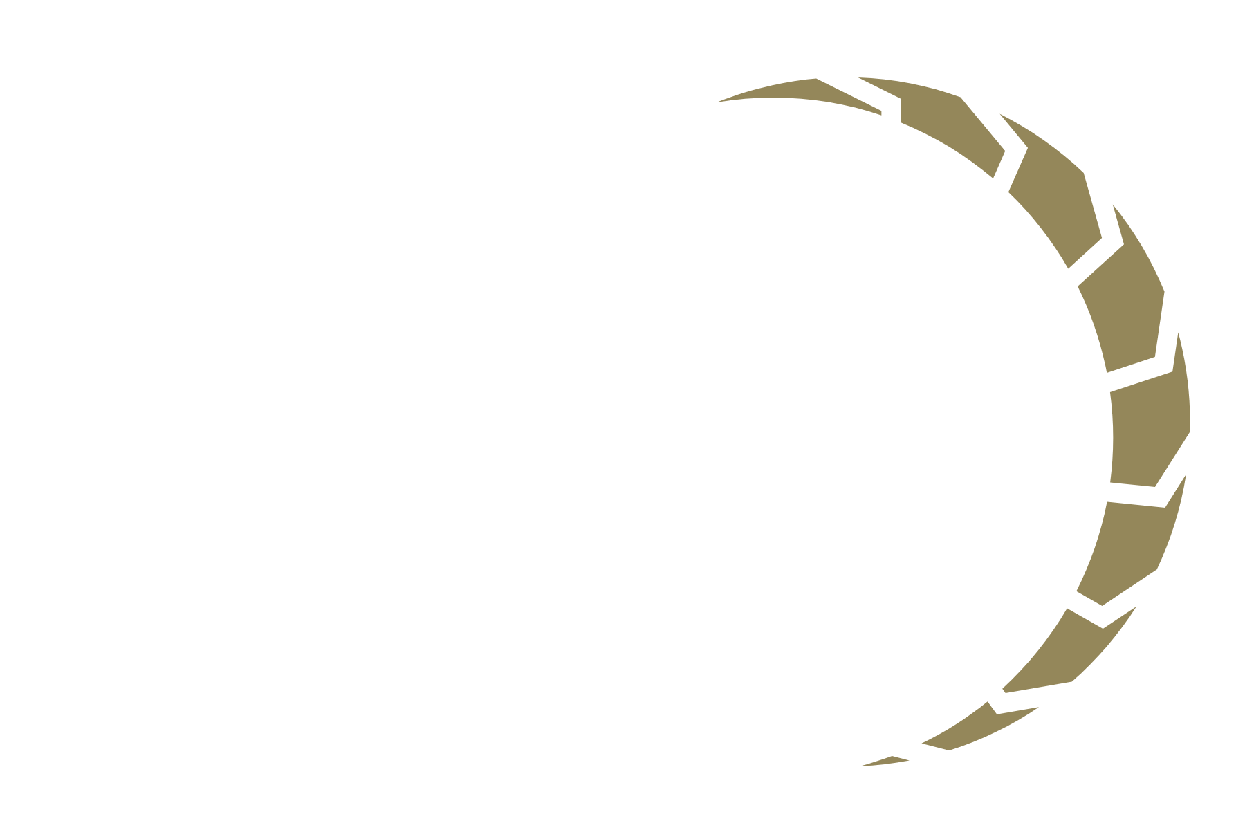 Luxx Rentals